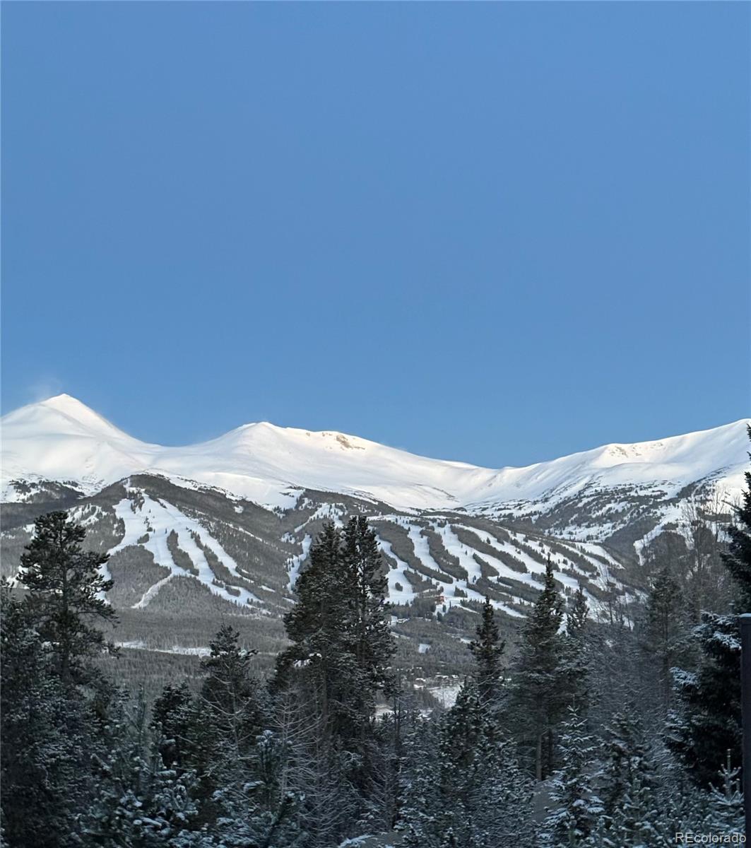 MLS Image #33 for 1274  baldy road 3,breckenridge, Colorado