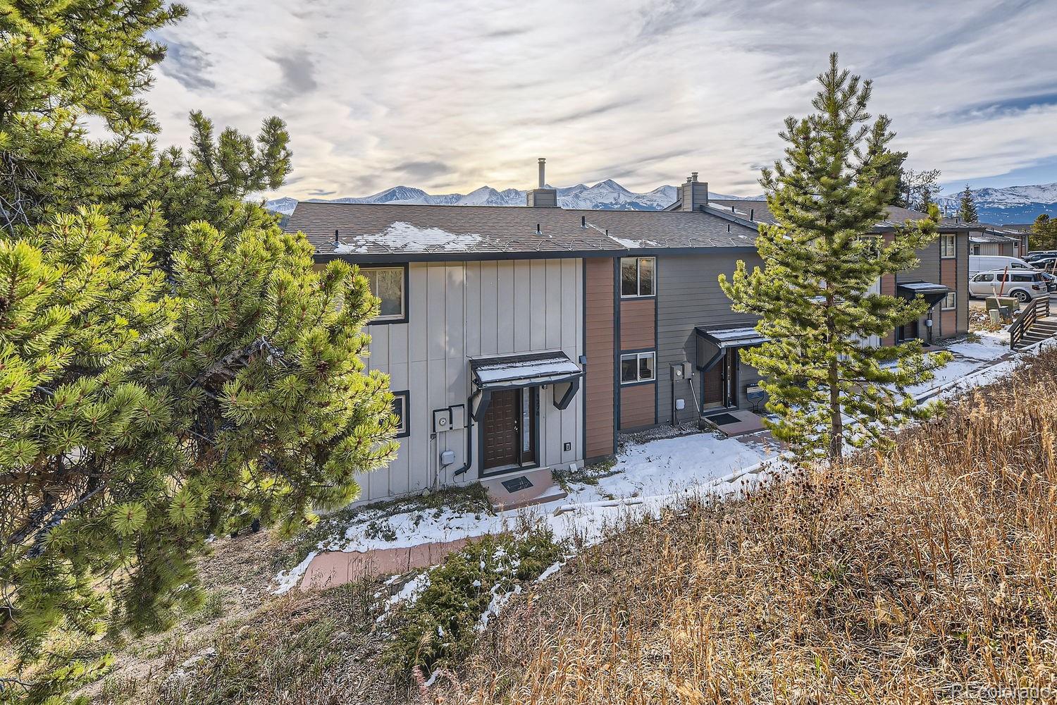 MLS Image #4 for 1274  baldy road 3,breckenridge, Colorado