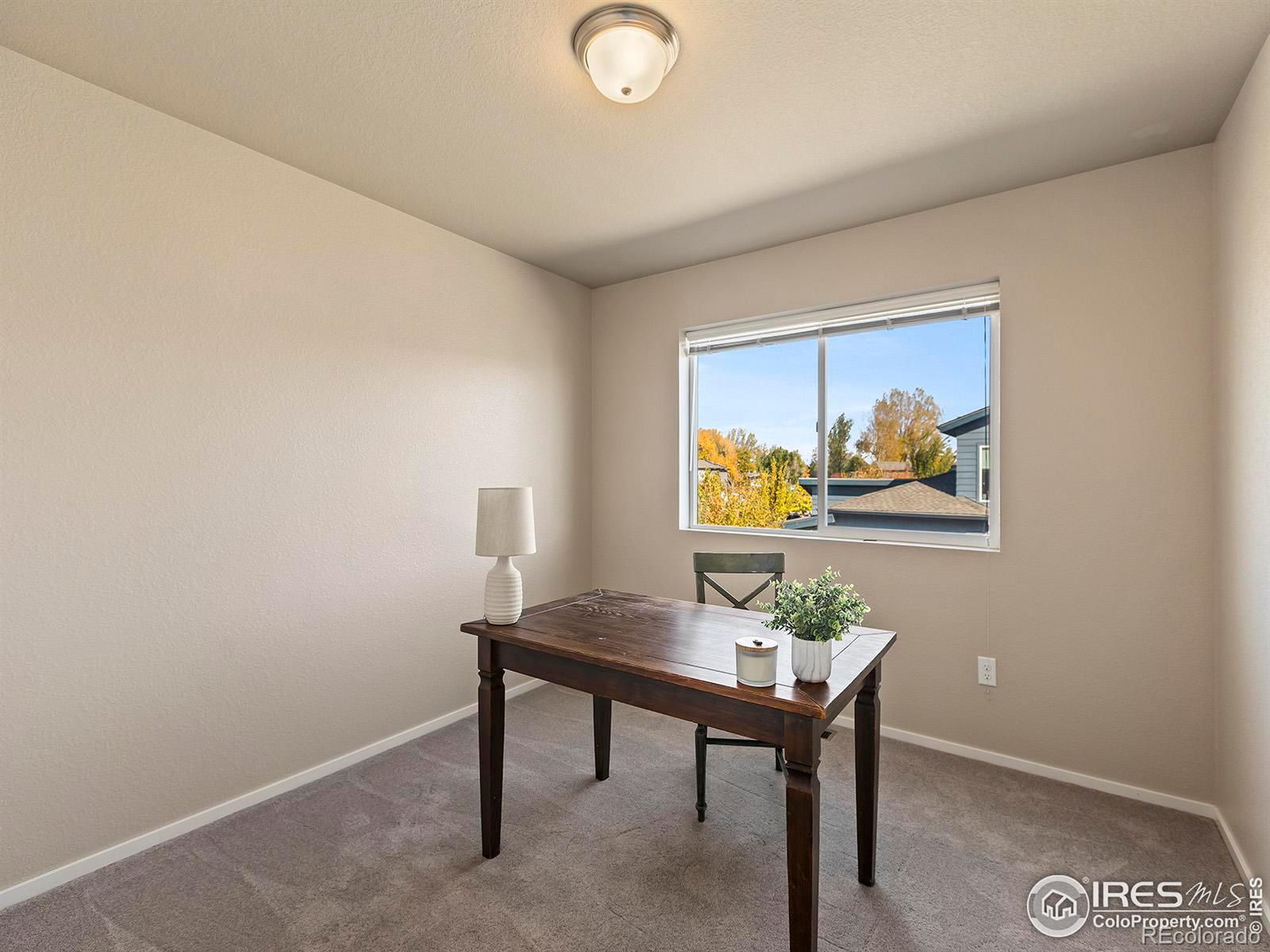 MLS Image #19 for 387  sour street,fort collins, Colorado