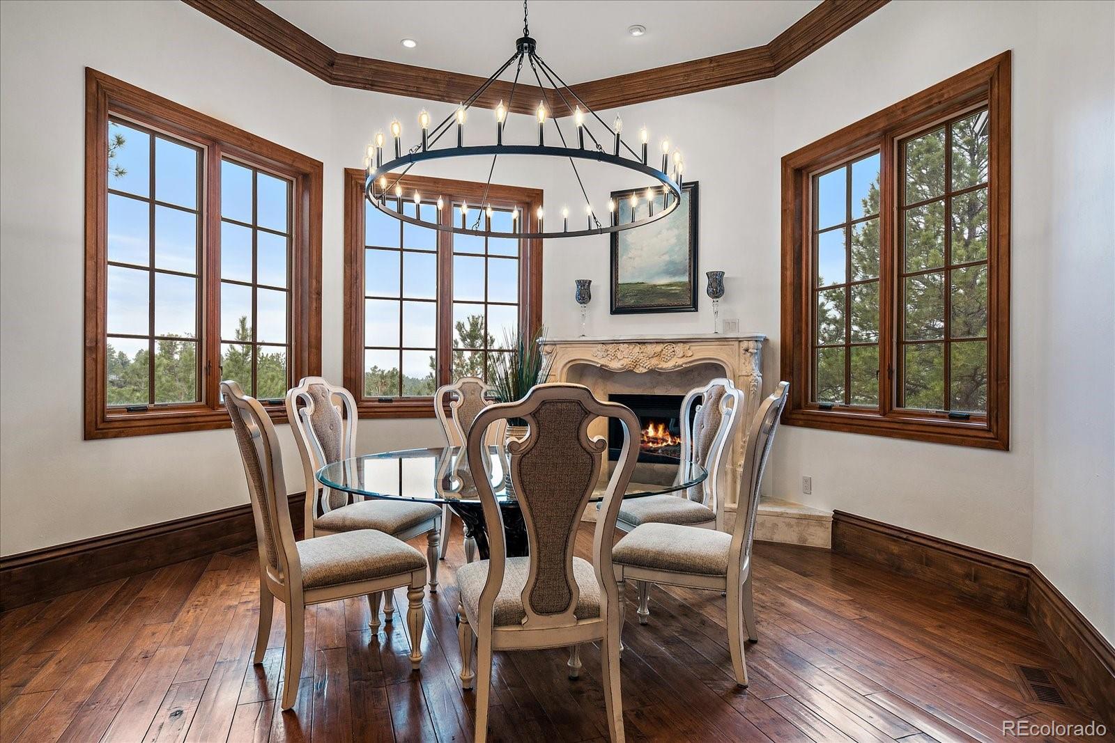 MLS Image #11 for 214  equinox drive,castle rock, Colorado