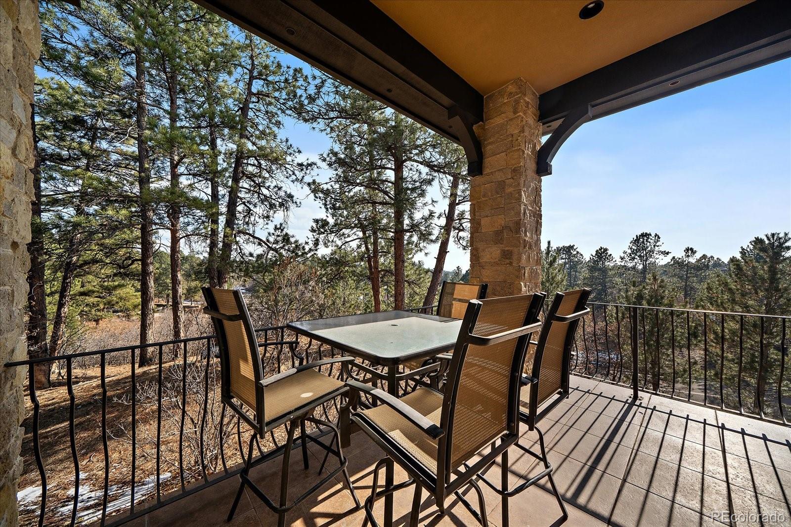 MLS Image #22 for 214  equinox drive,castle rock, Colorado