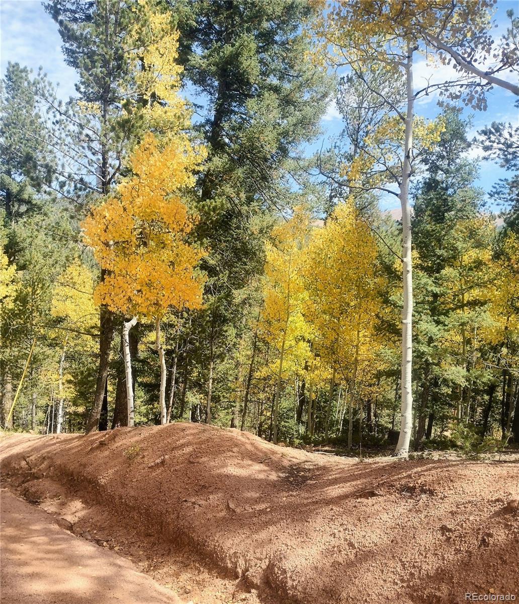 MLS Image #0 for 2  timber ridge road,divide, Colorado