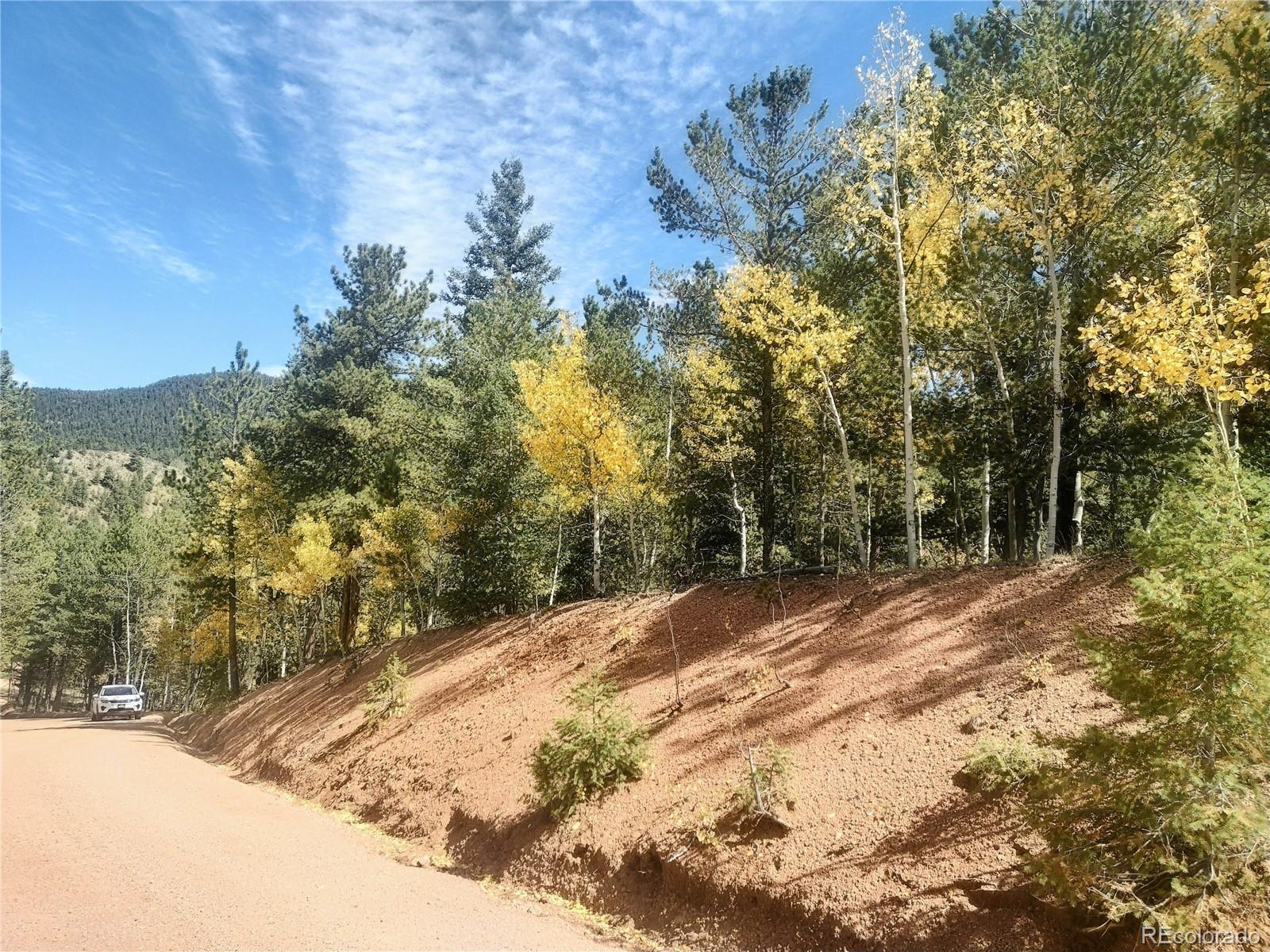 MLS Image #1 for 2  timber ridge road,divide, Colorado