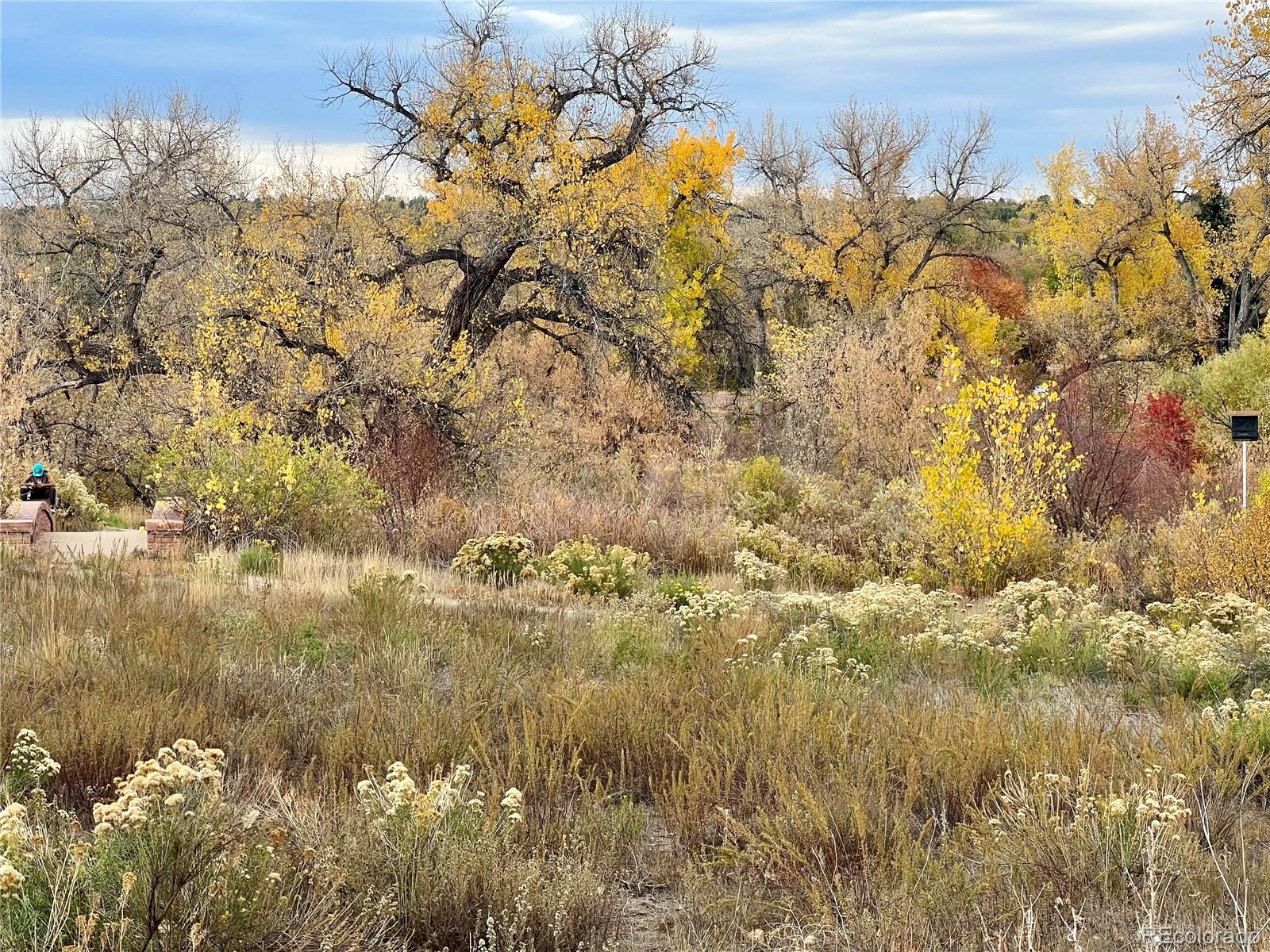 MLS Image #30 for 3881 w kenyon avenue,denver, Colorado