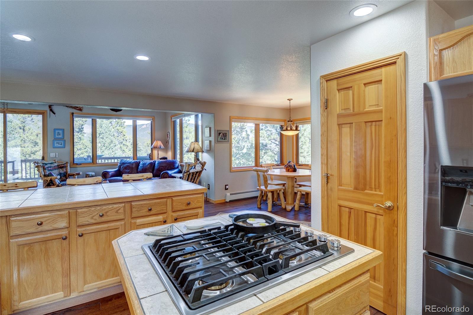 MLS Image #12 for 909  royal ridge drive,bailey, Colorado