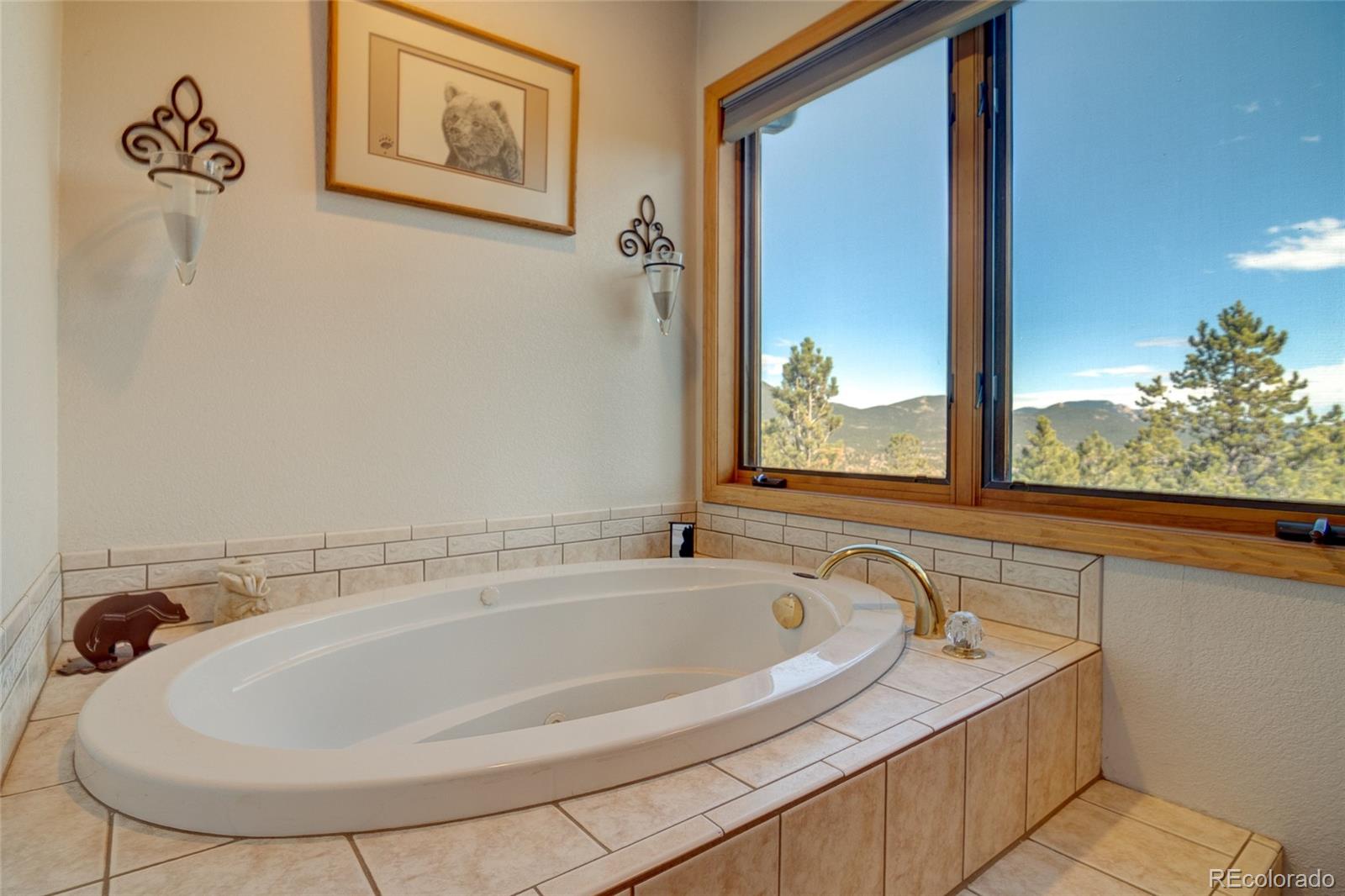 MLS Image #18 for 909  royal ridge drive,bailey, Colorado