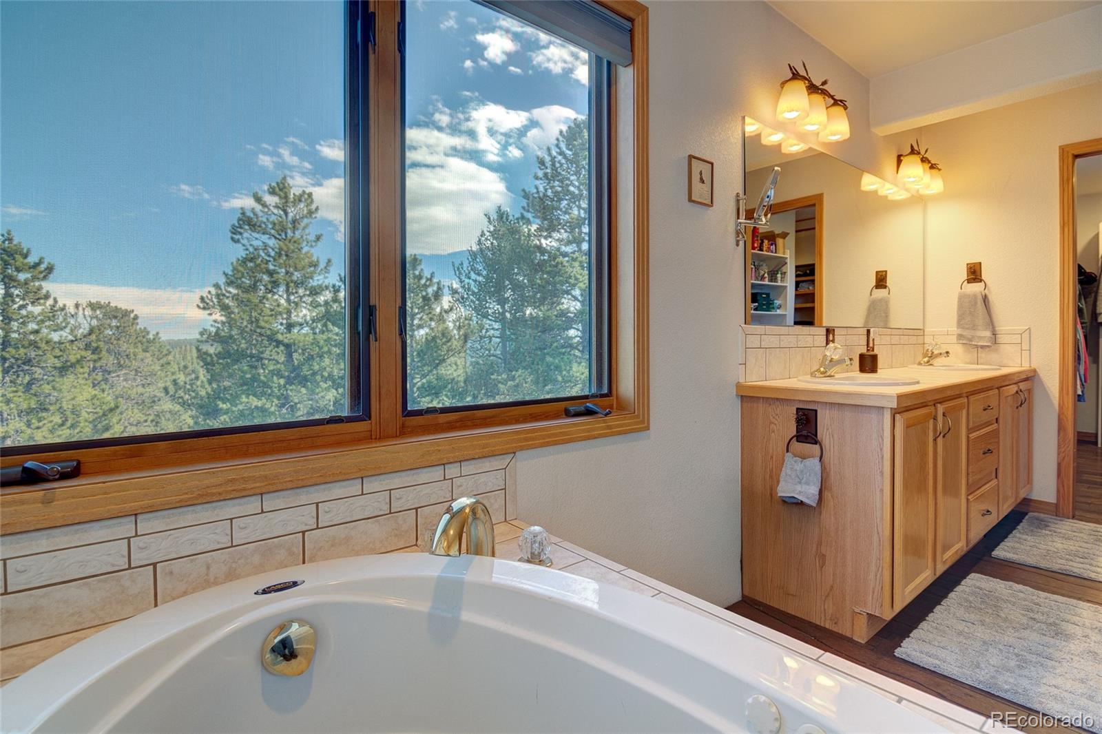 MLS Image #19 for 909  royal ridge drive,bailey, Colorado