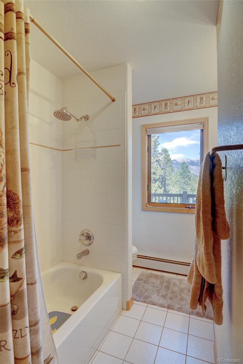 MLS Image #23 for 909  royal ridge drive,bailey, Colorado