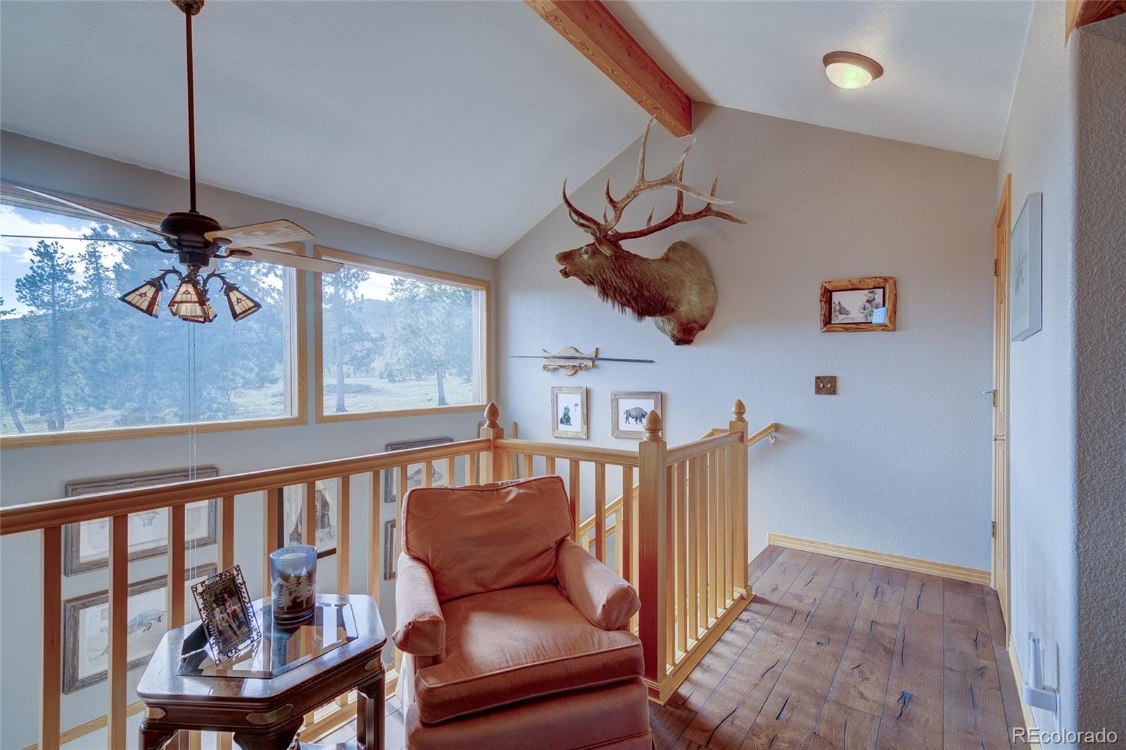 MLS Image #29 for 909  royal ridge drive,bailey, Colorado