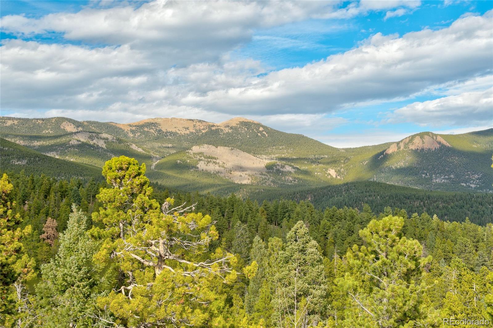 MLS Image #41 for 909  royal ridge drive,bailey, Colorado