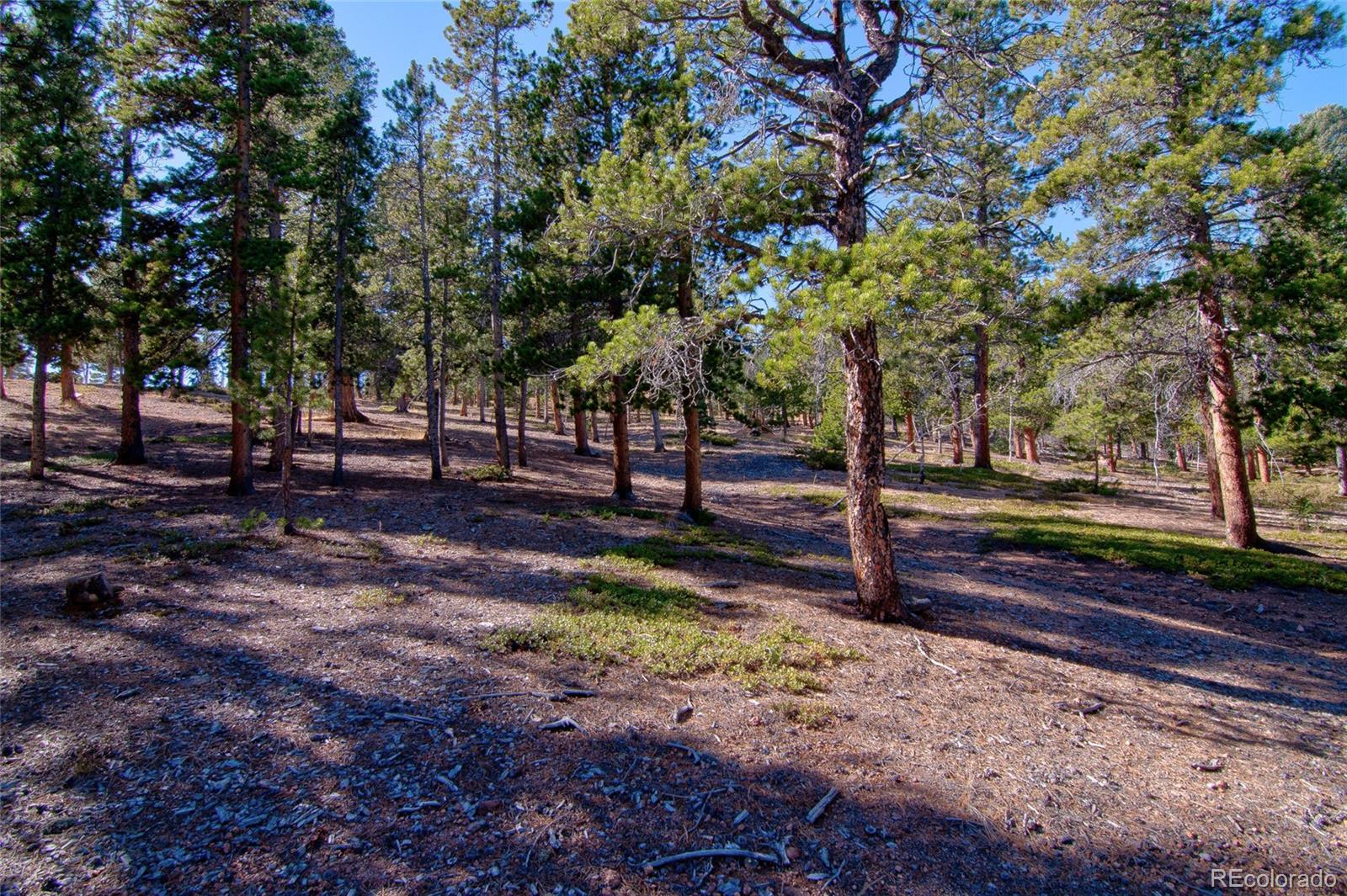 MLS Image #44 for 909  royal ridge drive,bailey, Colorado