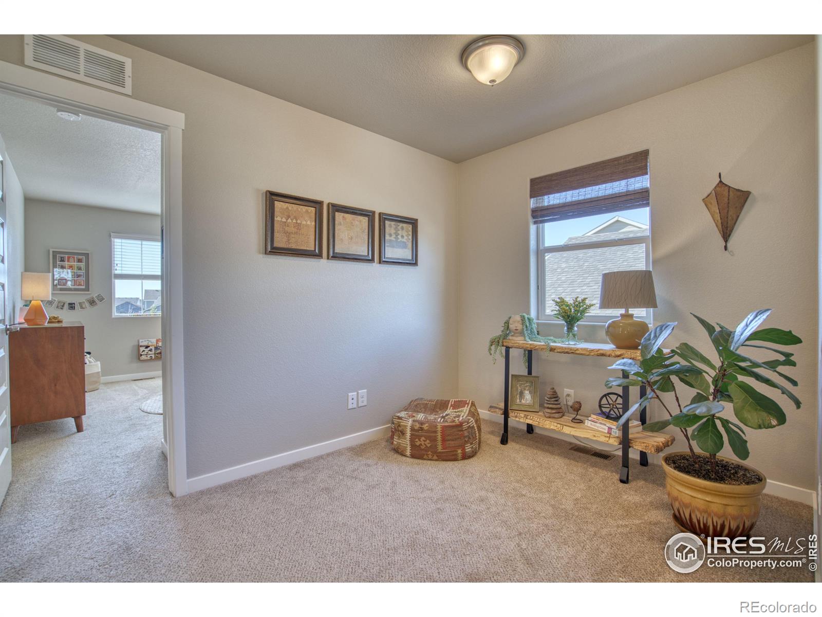 MLS Image #13 for 1454  sabin court,berthoud, Colorado