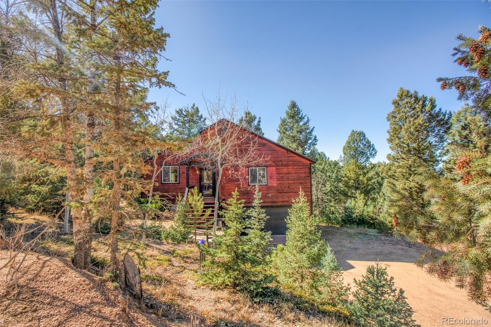 CMA Image for 831  Trout Haven Road,Florissant, Colorado