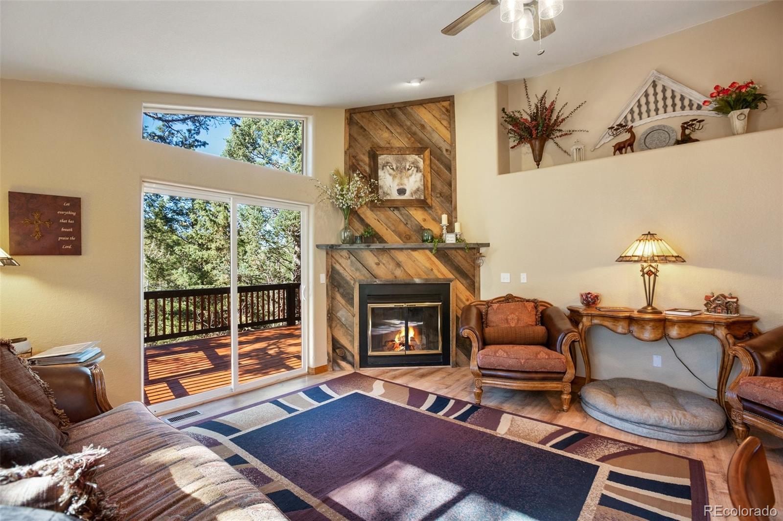 MLS Image #4 for 831  trout haven road,florissant, Colorado