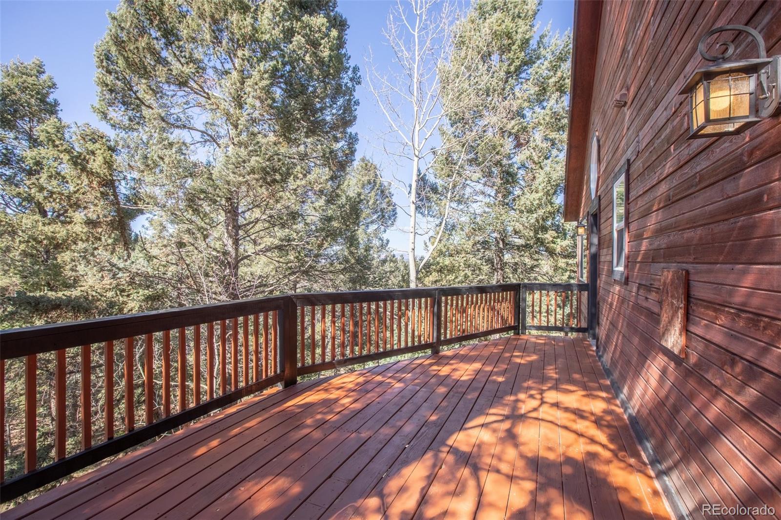 MLS Image #6 for 831  trout haven road,florissant, Colorado