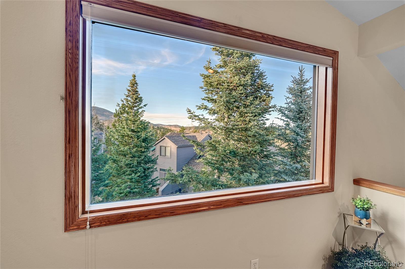 MLS Image #19 for 3671  joyful way,evergreen, Colorado