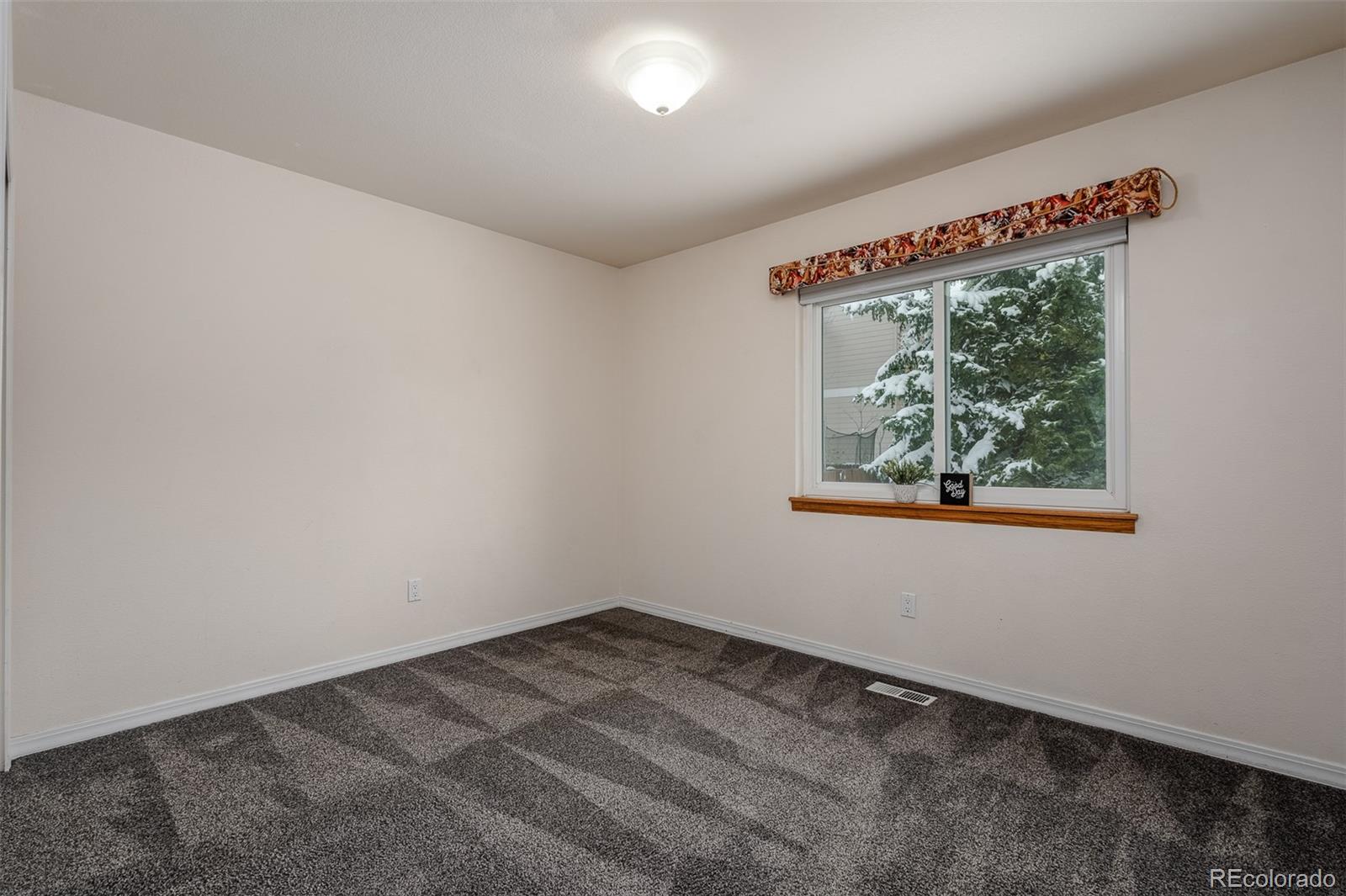 MLS Image #19 for 4420  bays water drive,colorado springs, Colorado