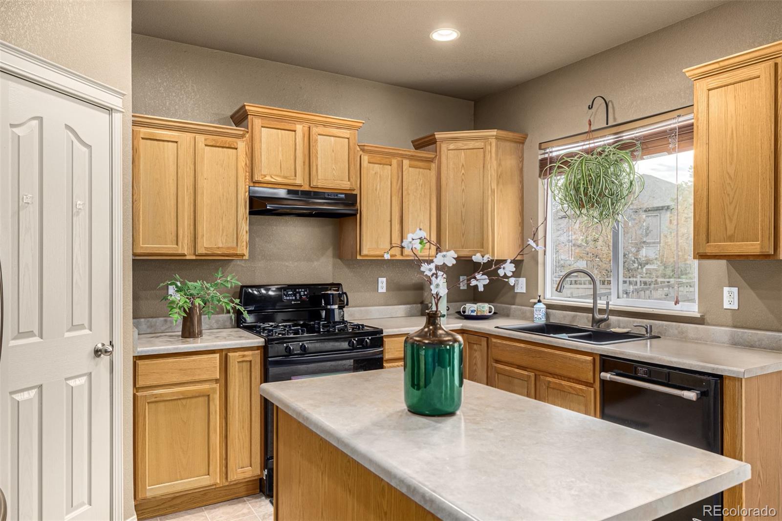 MLS Image #22 for 5286  tall spruce street,brighton, Colorado