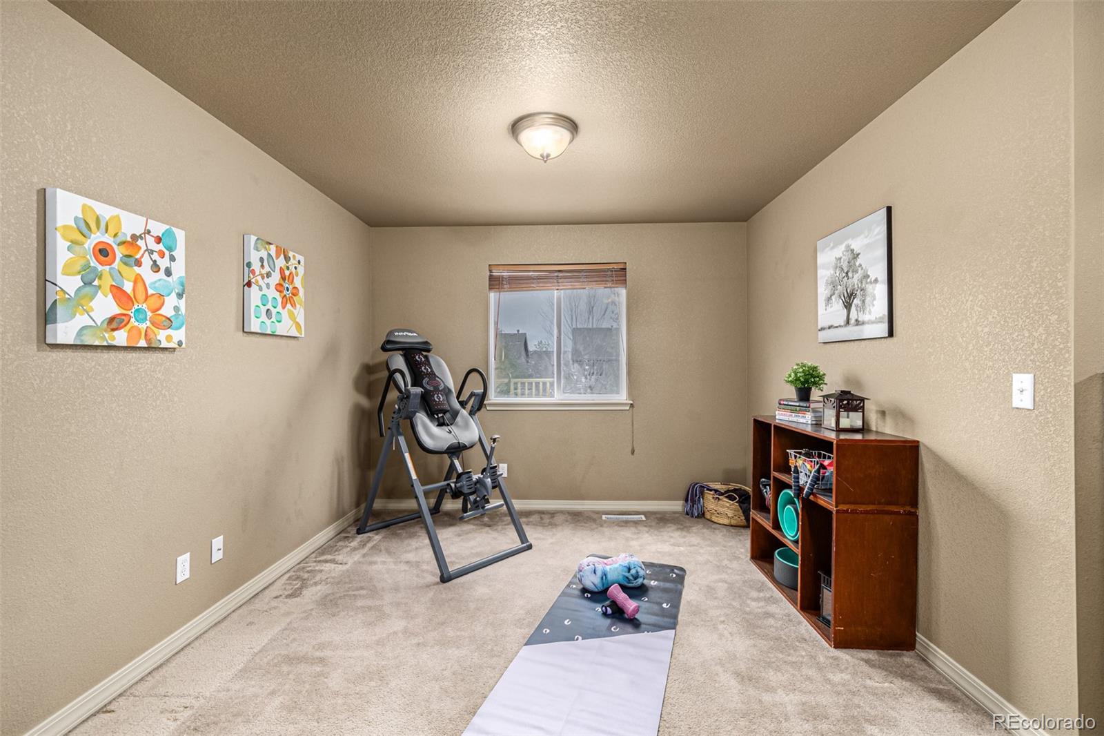 MLS Image #29 for 5286  tall spruce street,brighton, Colorado