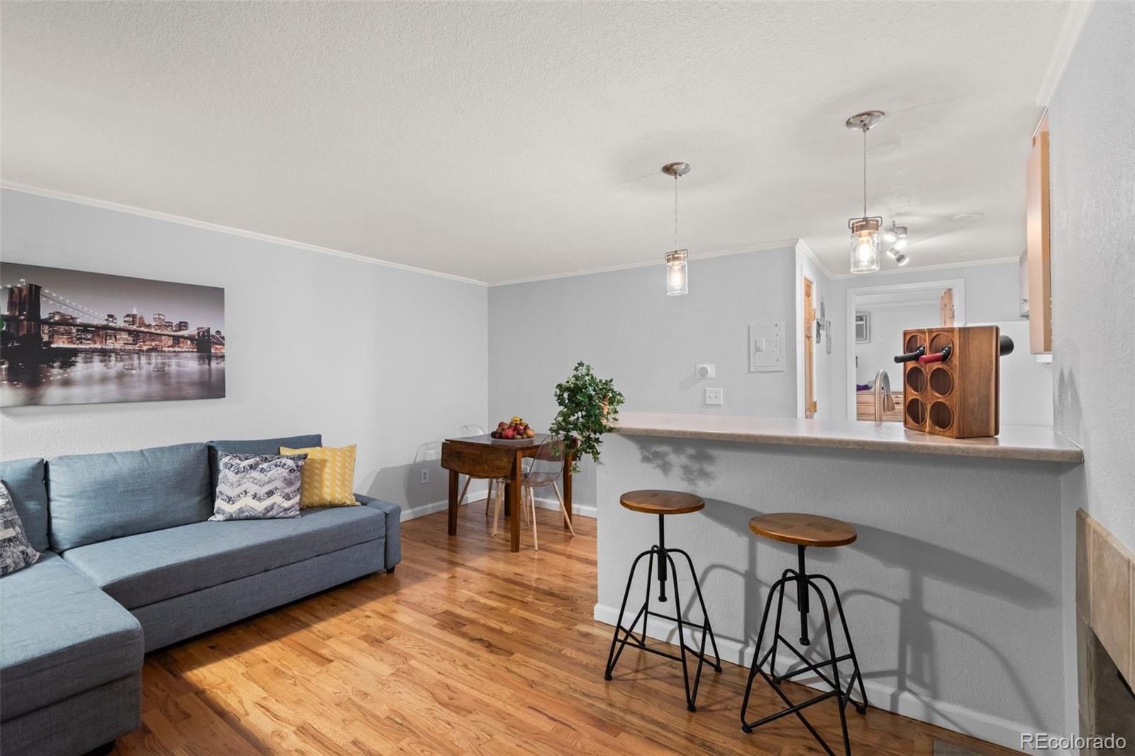 MLS Image #4 for 336 n grant street,denver, Colorado