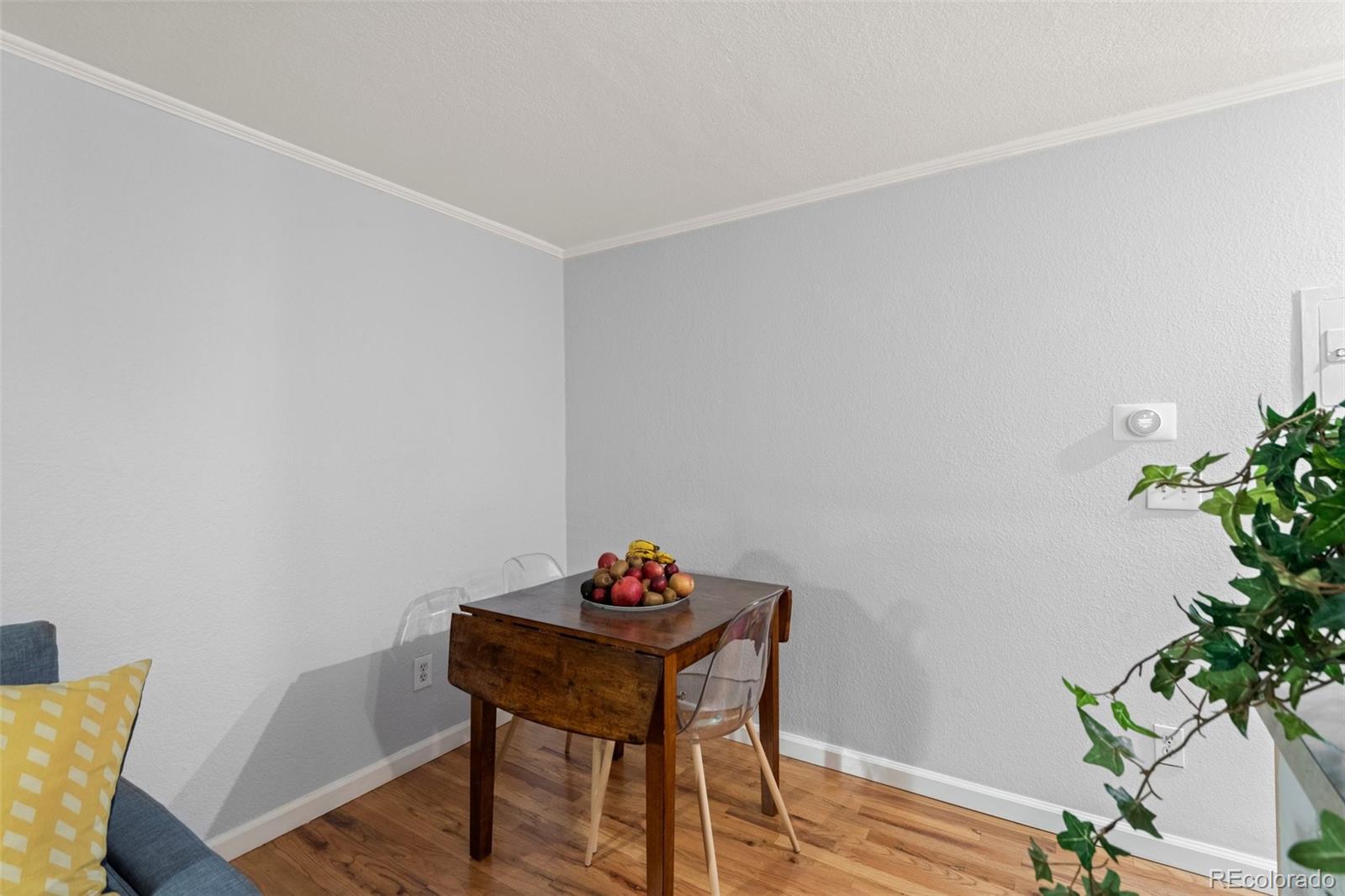 MLS Image #6 for 336 n grant street,denver, Colorado