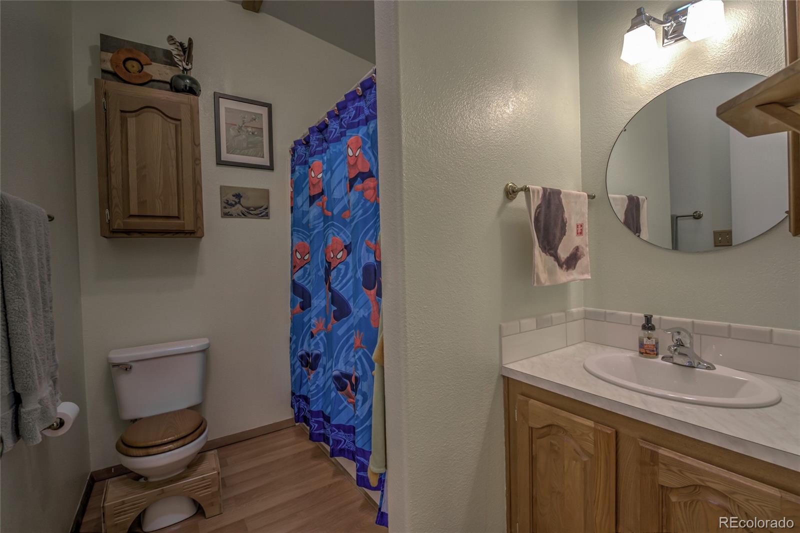 MLS Image #19 for 203  timothy court,fairplay, Colorado