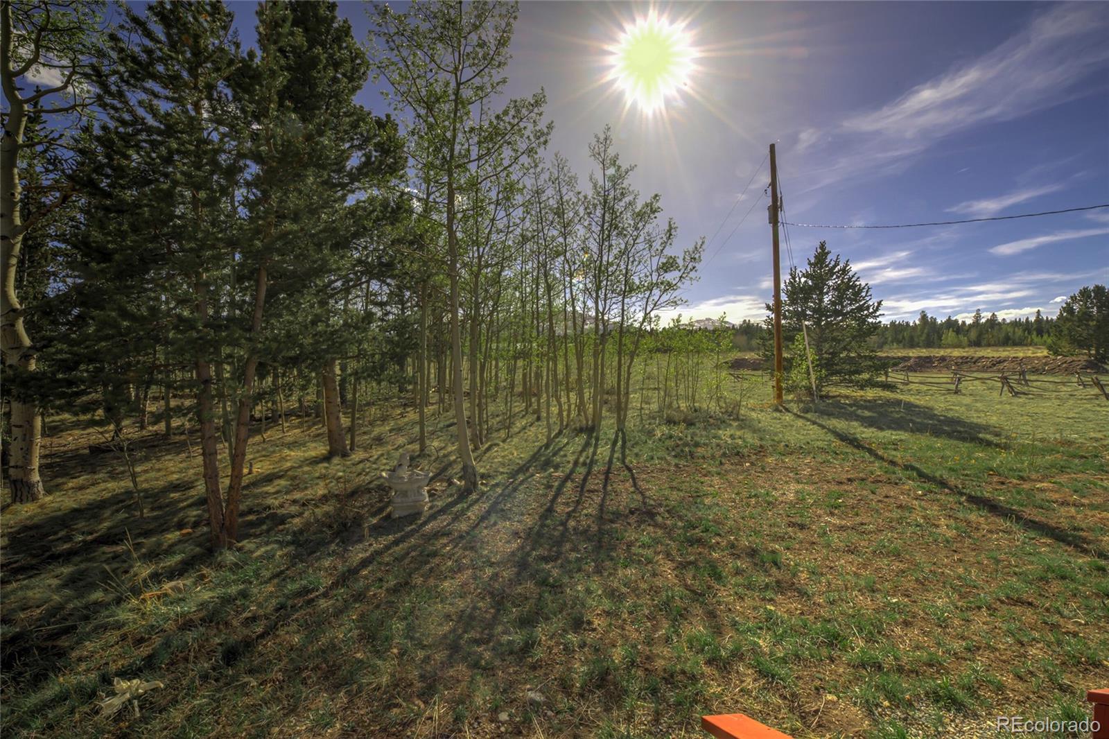 MLS Image #25 for 203  timothy court,fairplay, Colorado