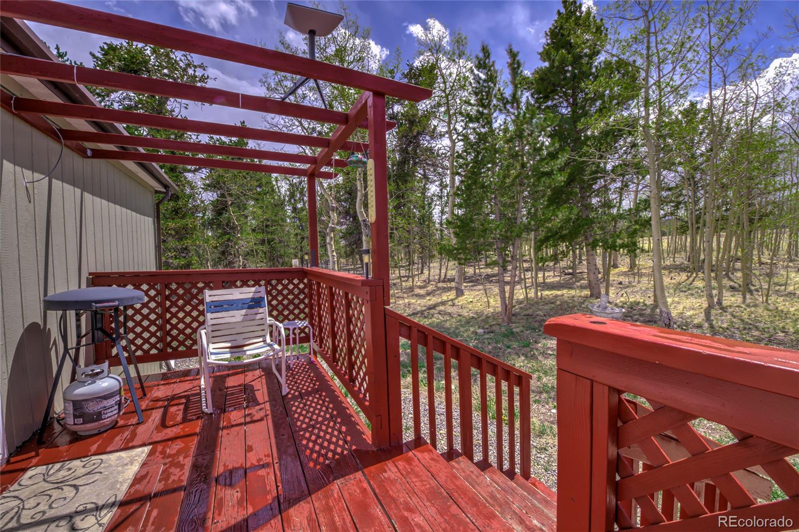 MLS Image #33 for 203  timothy court,fairplay, Colorado