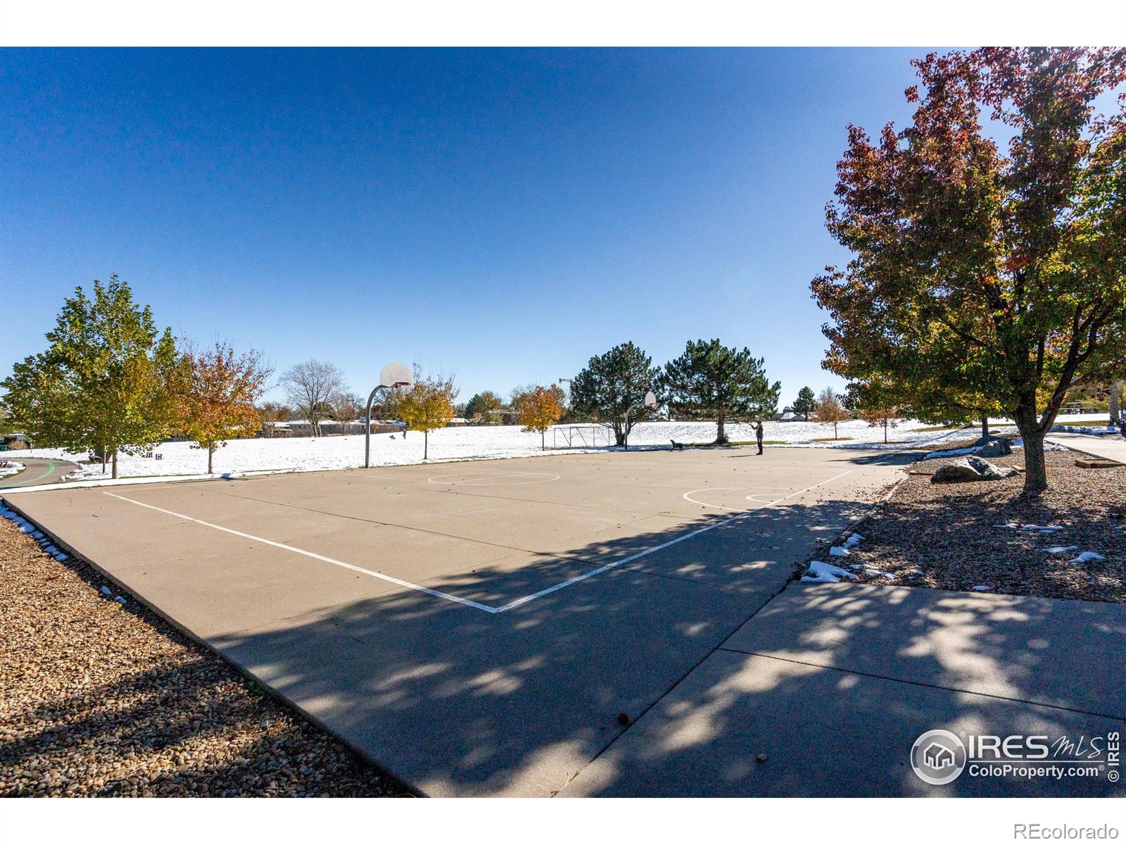 MLS Image #38 for 1830  newland court 211,lakewood, Colorado