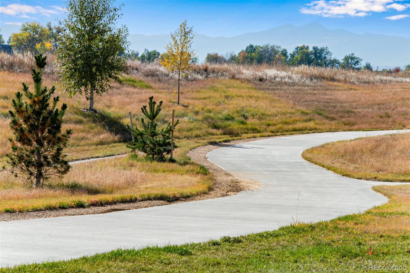 MLS Image #32 for 5063  john muir ,timnath, Colorado