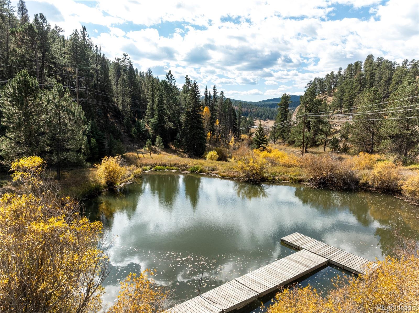 MLS Image #28 for 31437  evans view lane,pine, Colorado