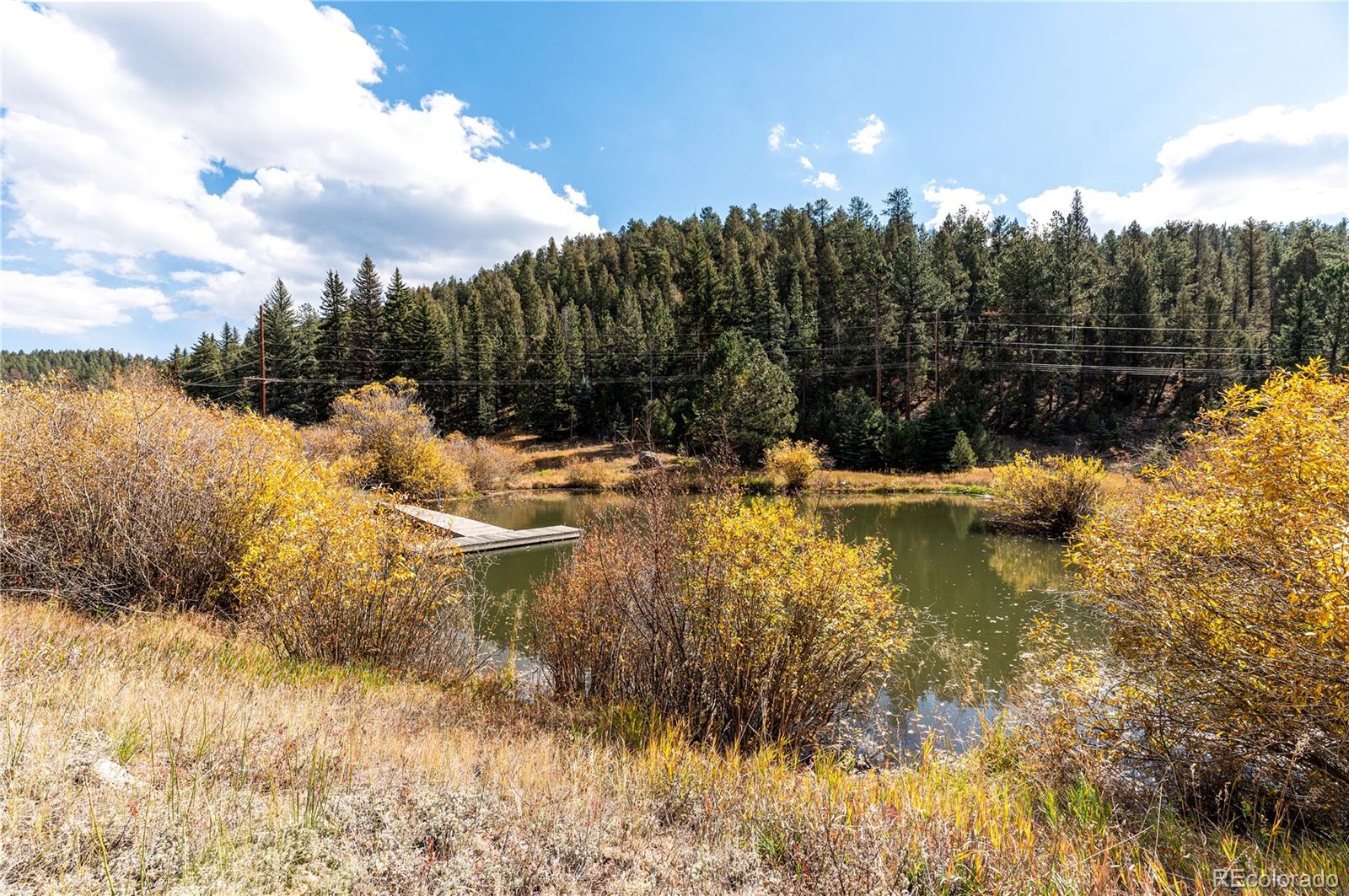 MLS Image #38 for 31437  evans view lane,pine, Colorado