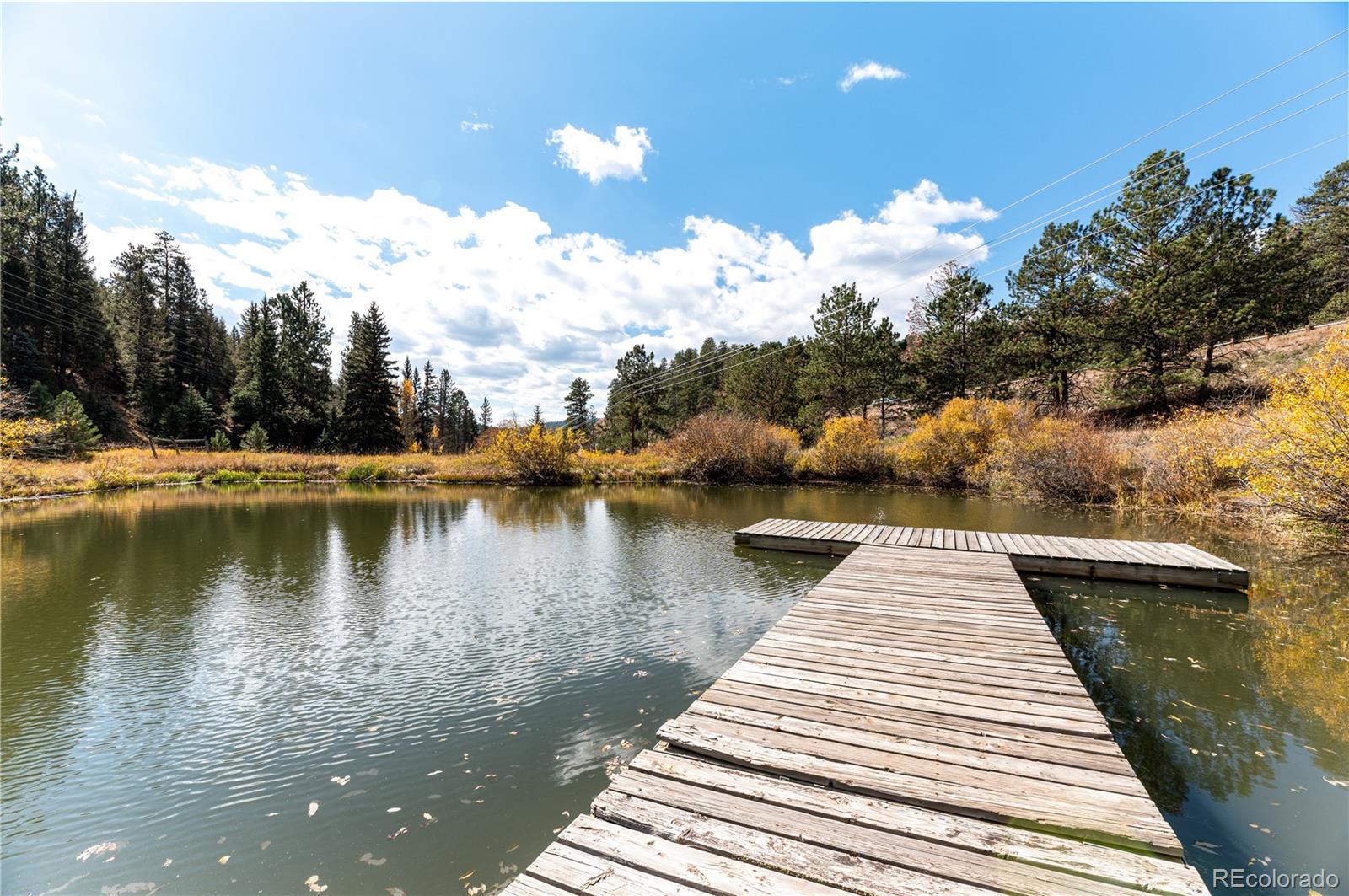 MLS Image #39 for 31437  evans view lane,pine, Colorado