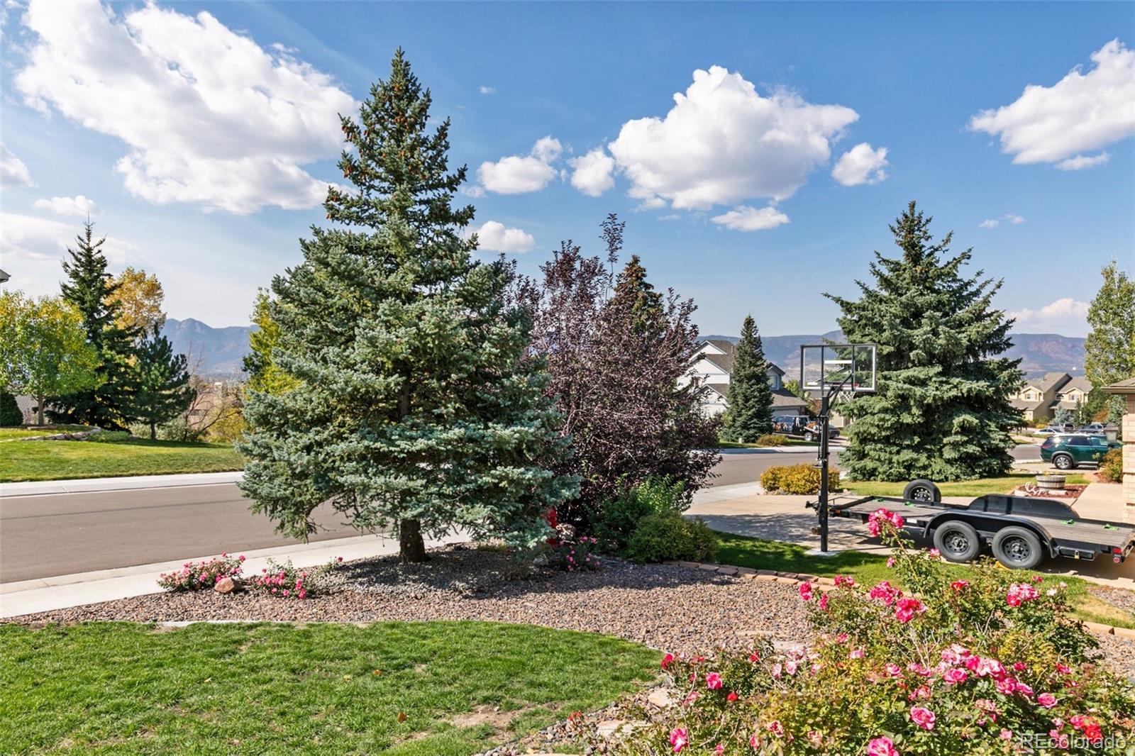 MLS Image #2 for 15435  desiree drive,colorado springs, Colorado