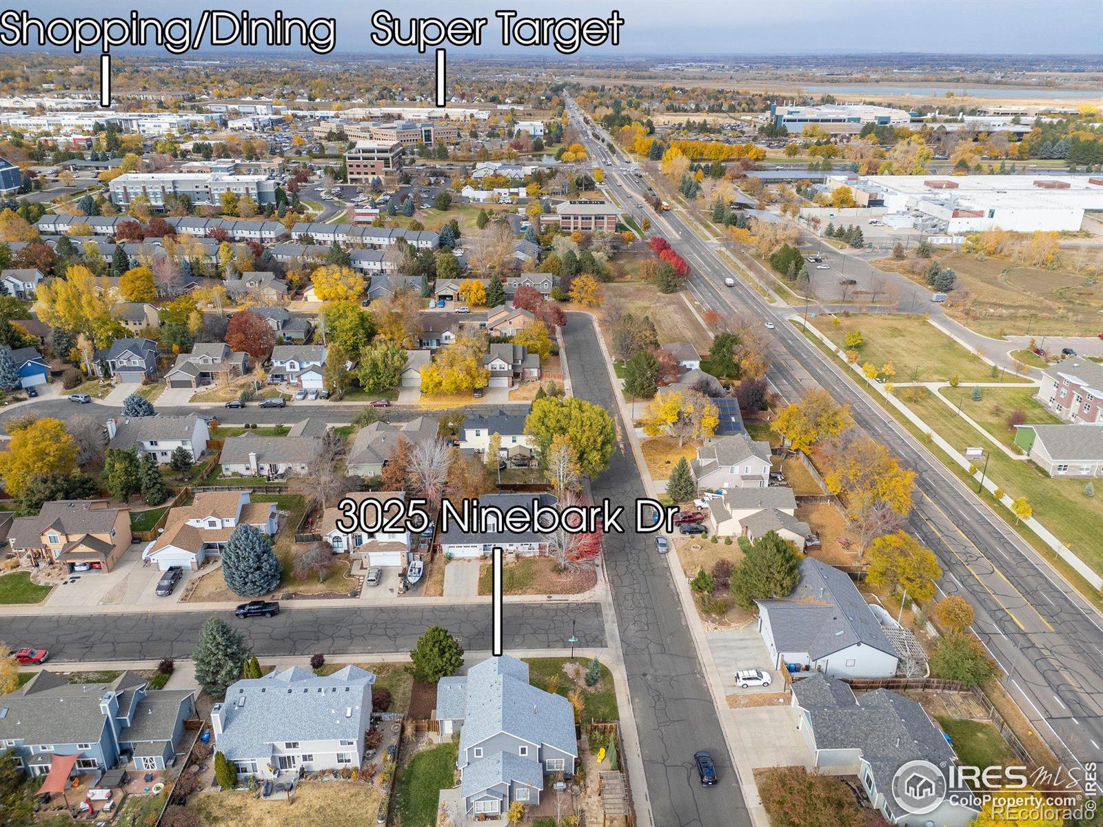 MLS Image #32 for 3025  ninebark drive,fort collins, Colorado