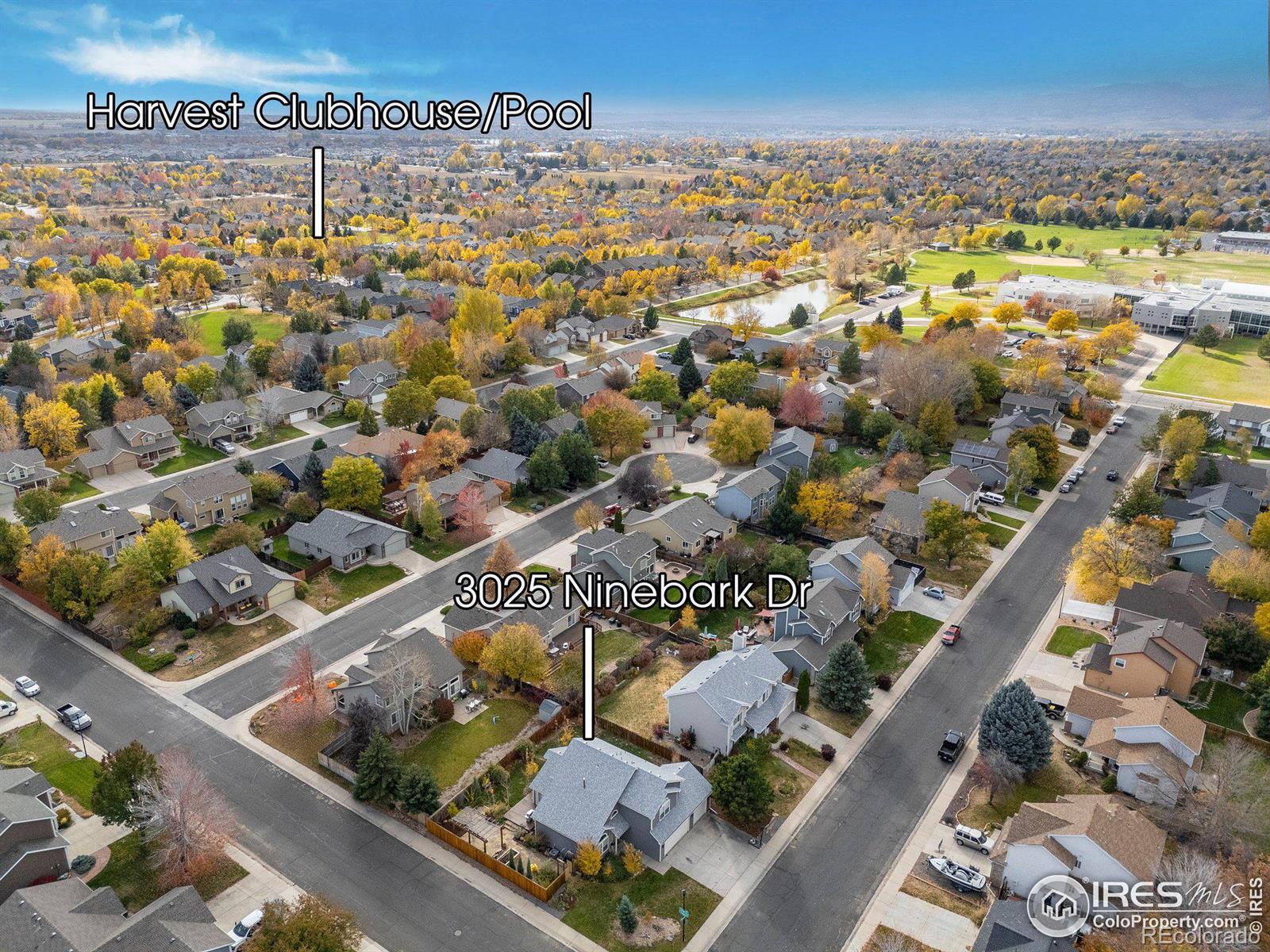 MLS Image #34 for 3025  ninebark drive,fort collins, Colorado