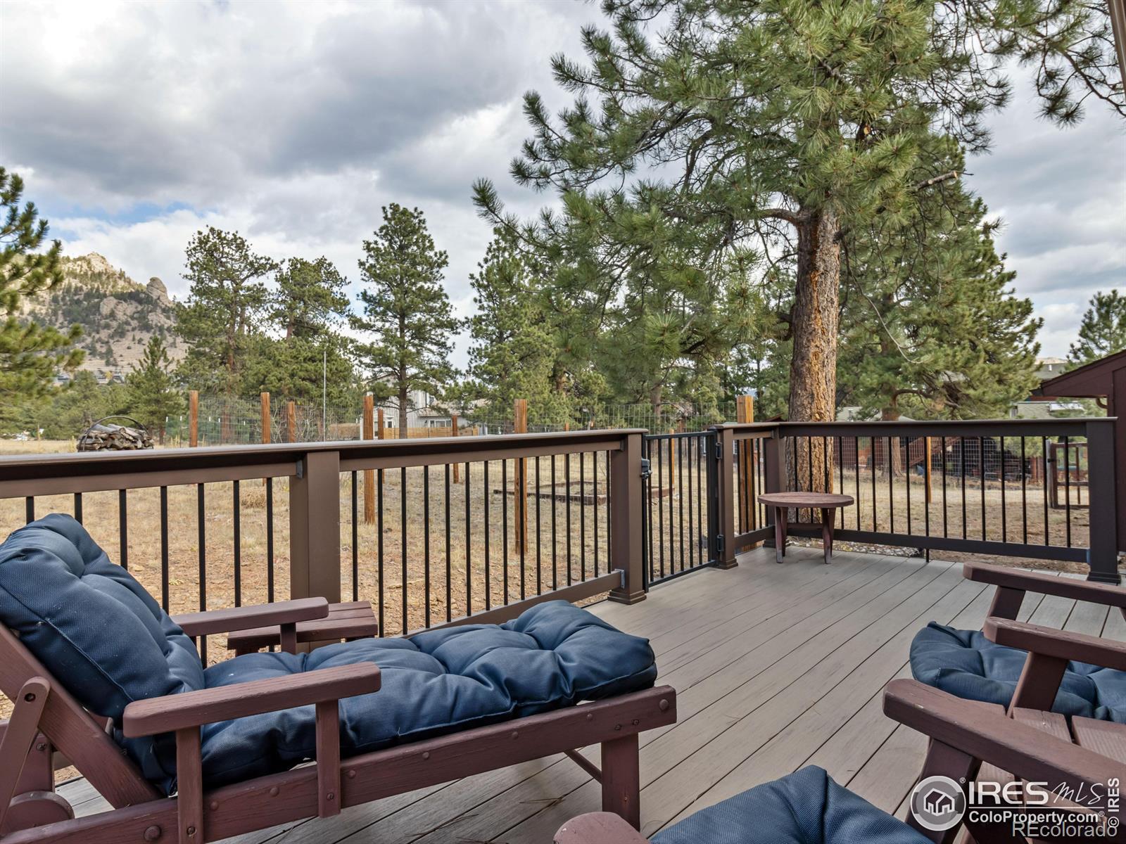 MLS Image #18 for 2301  larkspur avenue,estes park, Colorado