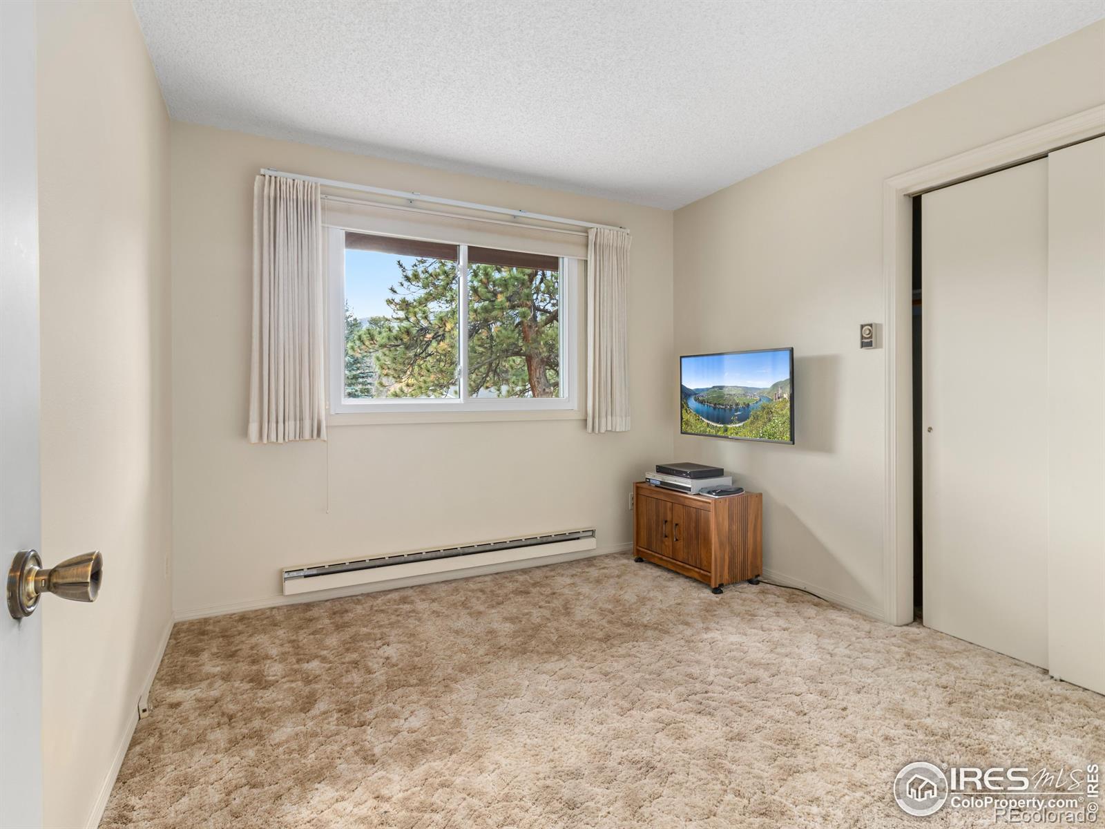 MLS Image #23 for 2301  larkspur avenue,estes park, Colorado