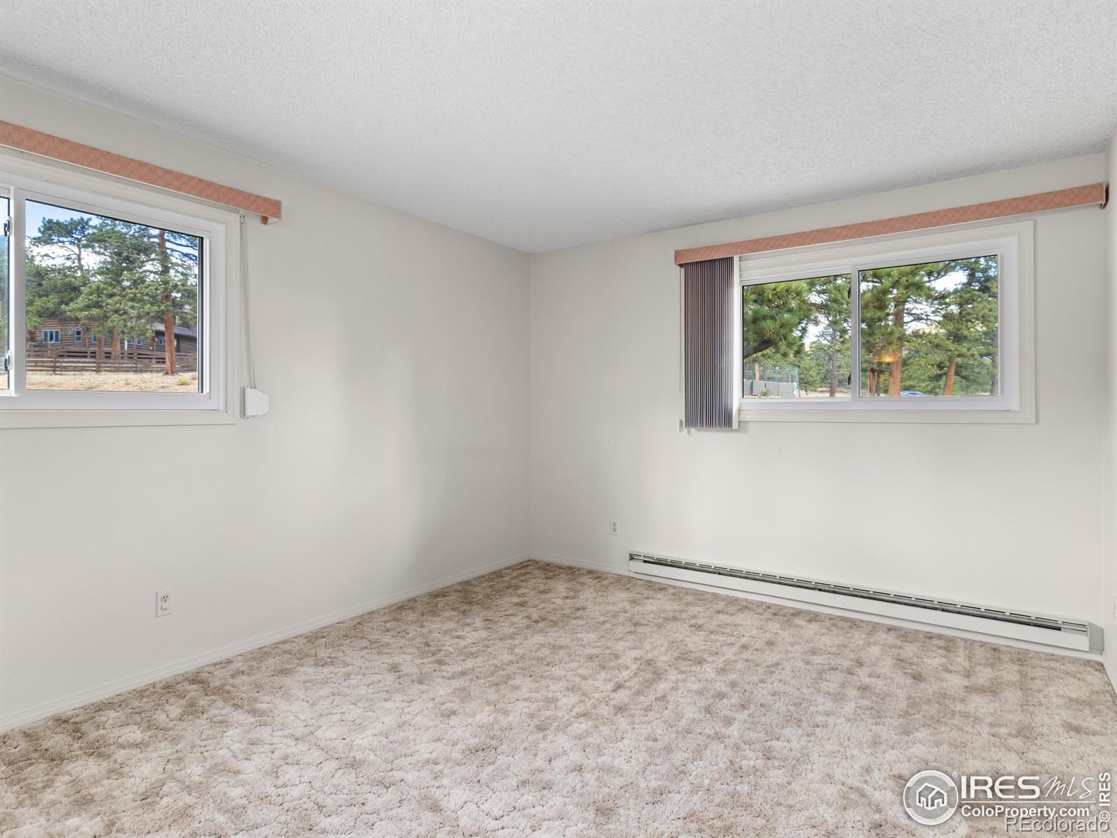 MLS Image #24 for 2301  larkspur avenue,estes park, Colorado