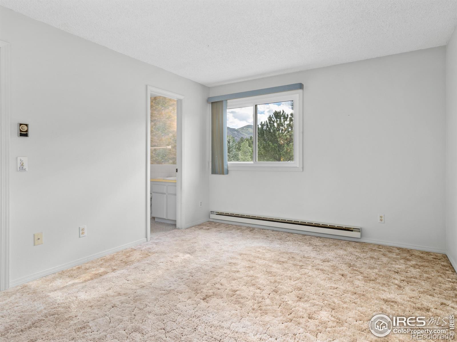 MLS Image #25 for 2301  larkspur avenue,estes park, Colorado