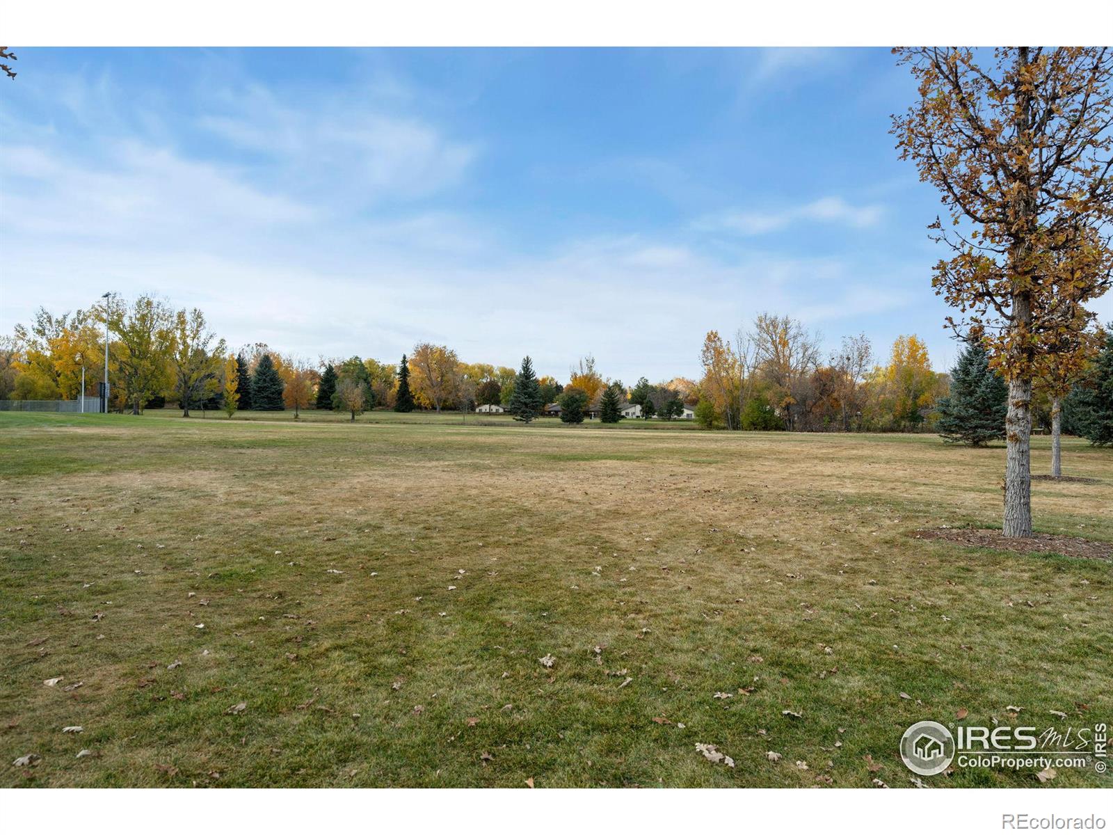 MLS Image #22 for 1912  constitution avenue,fort collins, Colorado