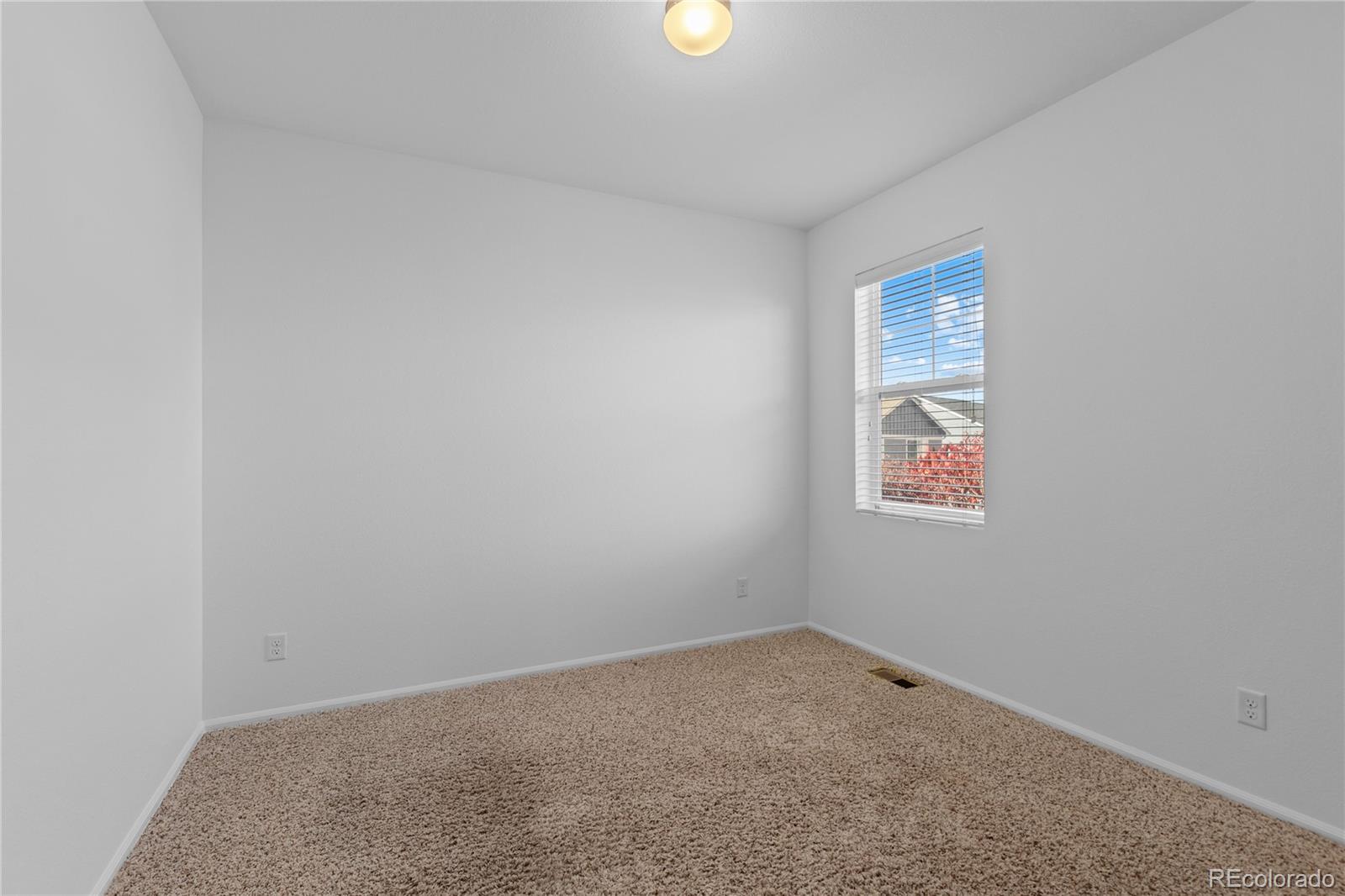 MLS Image #7 for 11379  lovage way,parker, Colorado