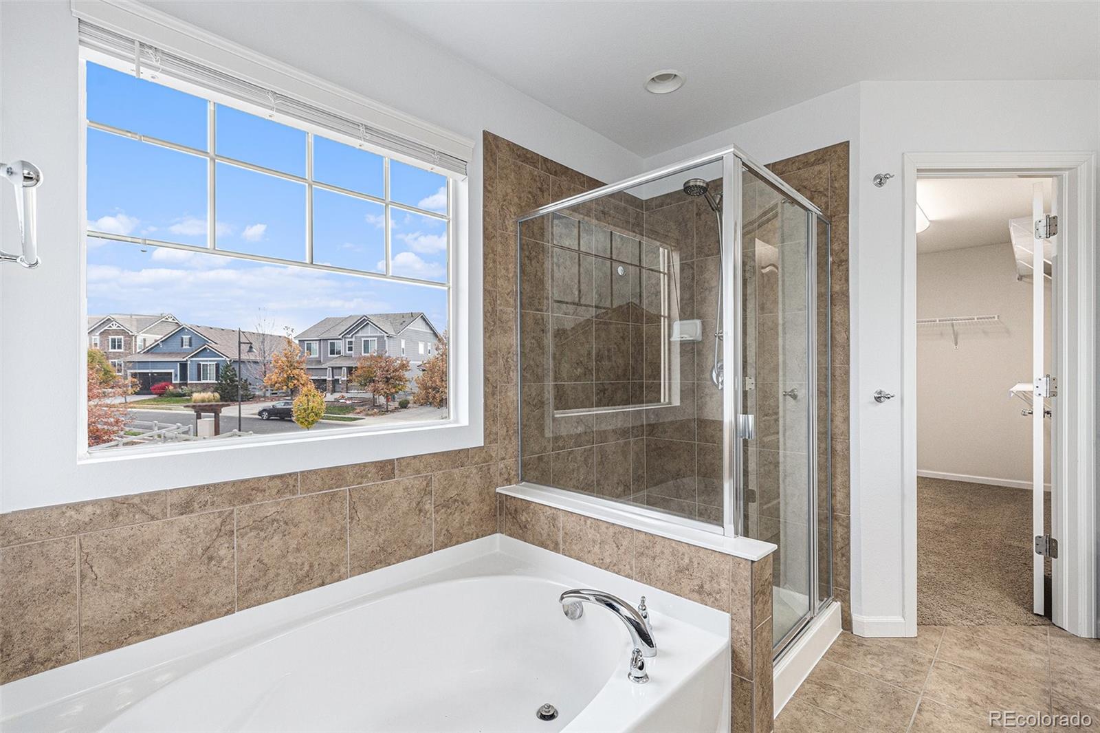 MLS Image #17 for 15948  antora peak drive,broomfield, Colorado