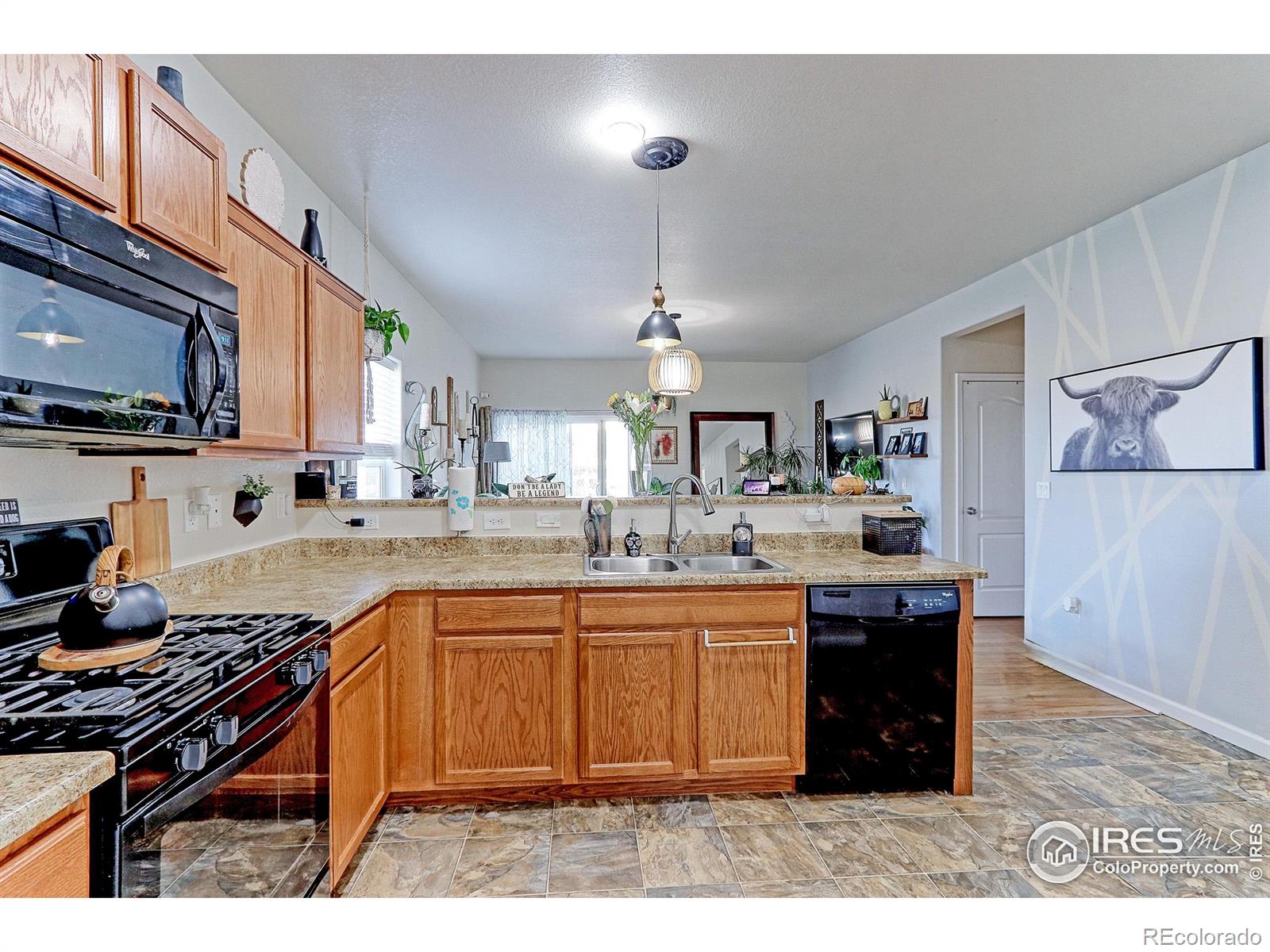 MLS Image #11 for 5025  liberty ridge,dacono, Colorado