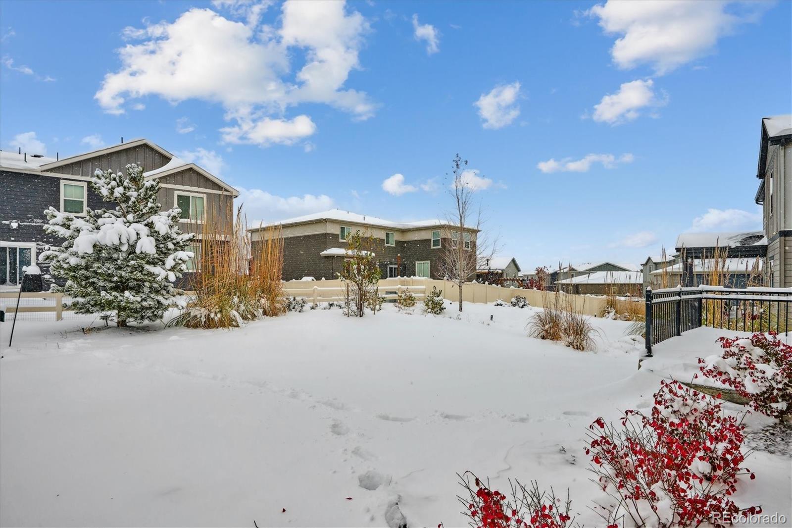 MLS Image #24 for 12841  red rosa circle,parker, Colorado