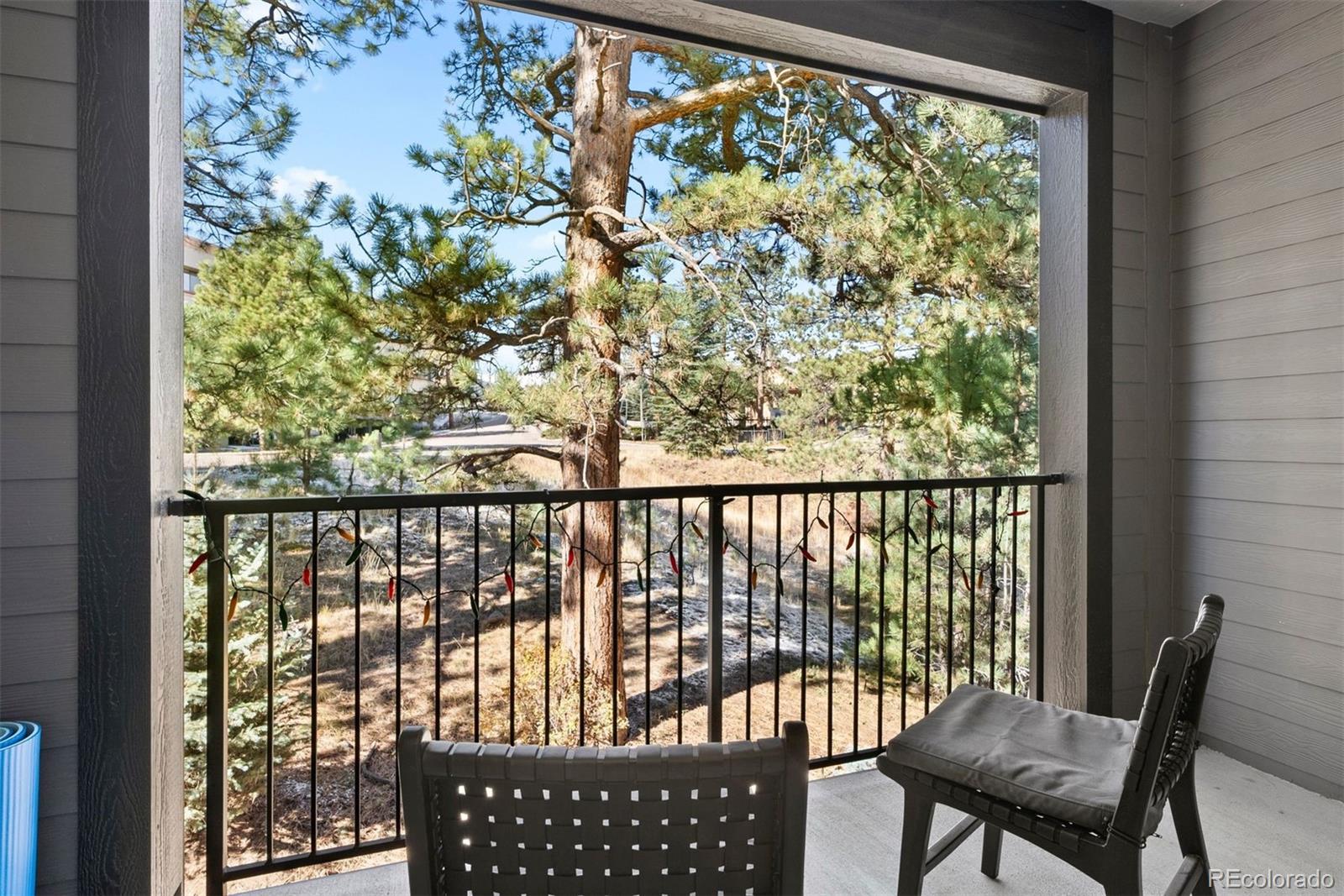 MLS Image #6 for 31192  black eagle drive,evergreen, Colorado