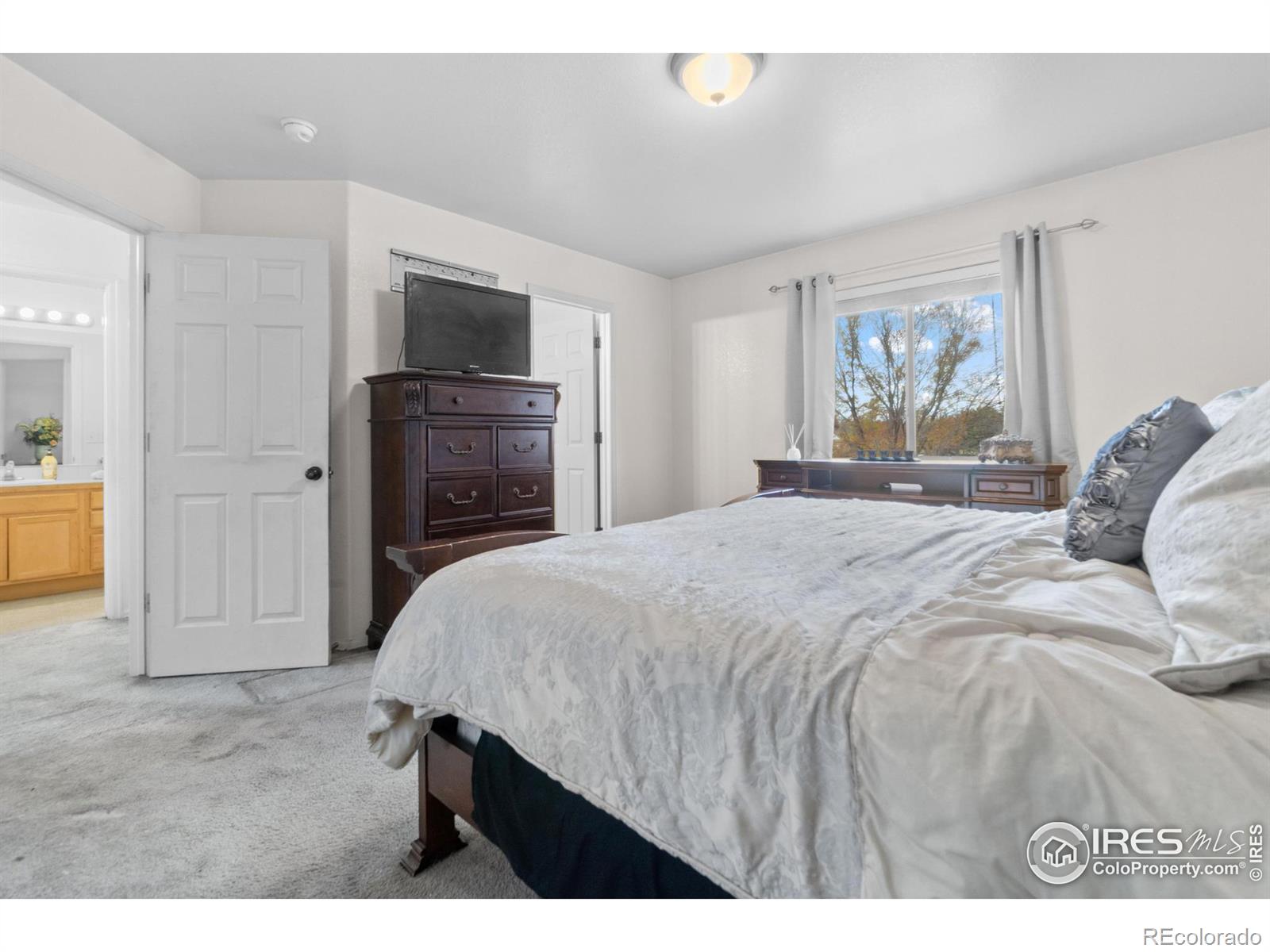 MLS Image #11 for 1905  canada goose drive,loveland, Colorado