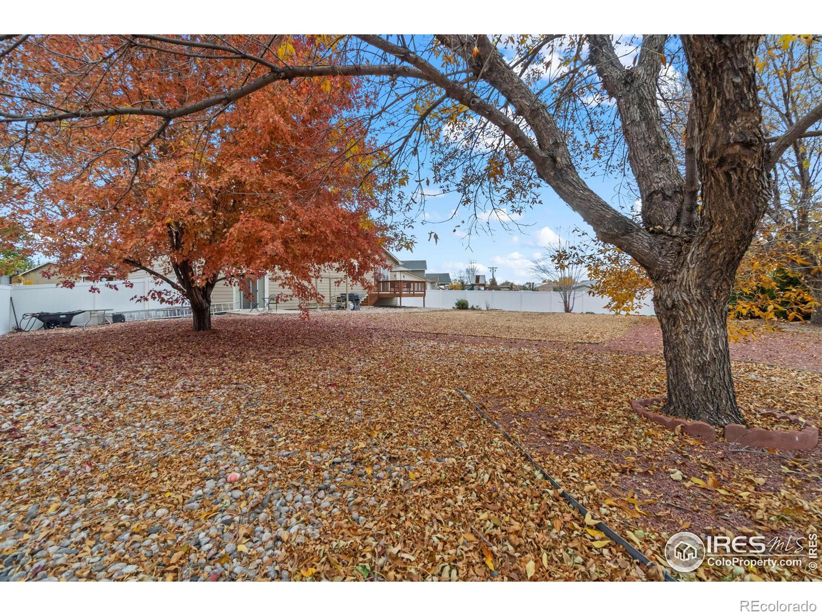 MLS Image #24 for 1905  canada goose drive,loveland, Colorado