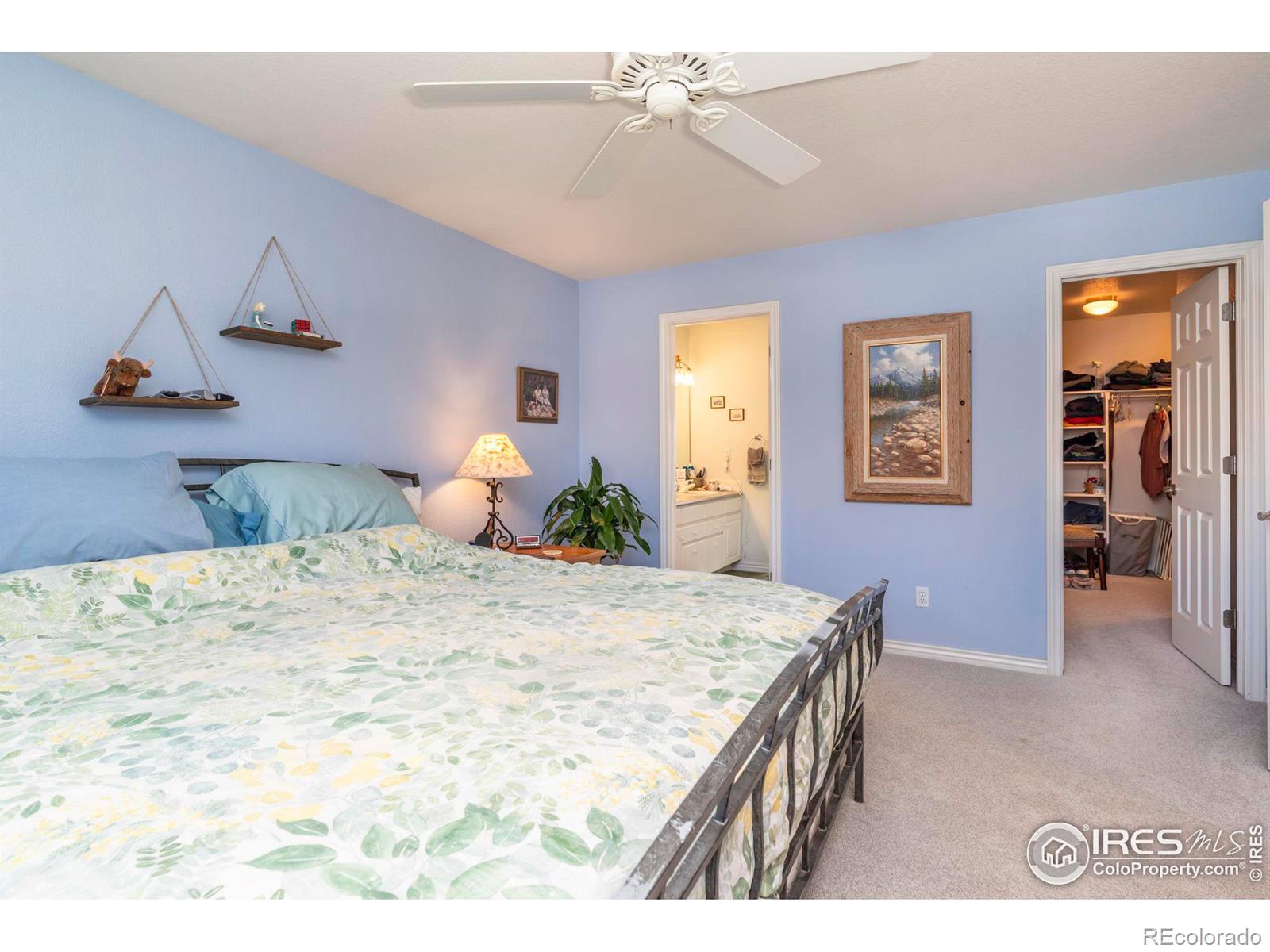 MLS Image #19 for 2116  springs place,longmont, Colorado