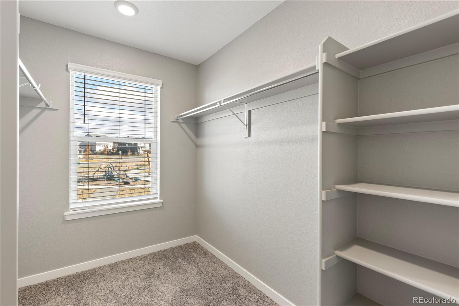 MLS Image #20 for 13942  wild lupine street,parker, Colorado